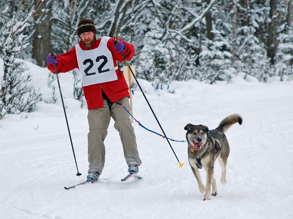 Ole Andersson with Nellie