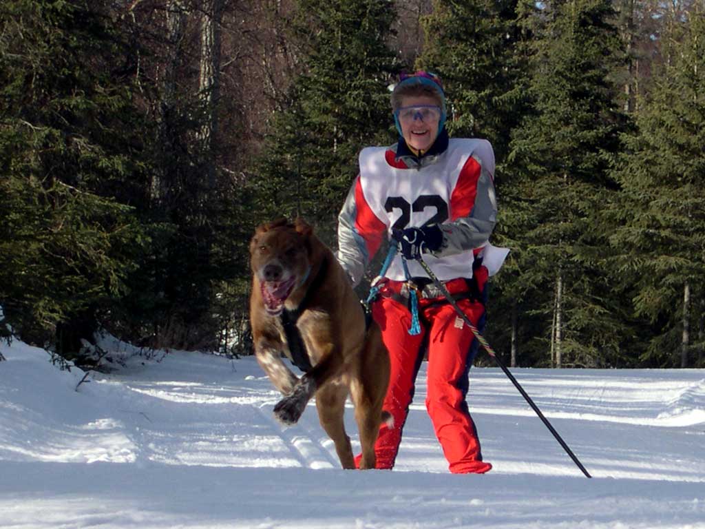 Skijor-E5.jpg