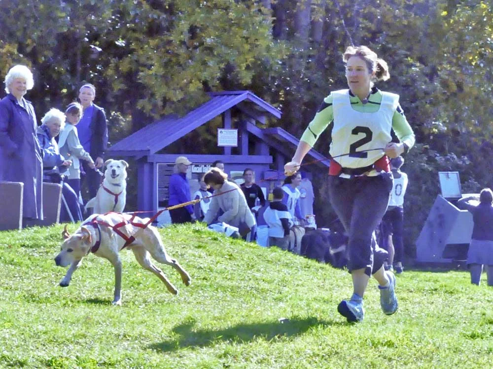 Run Rover 2011: Debra Summers