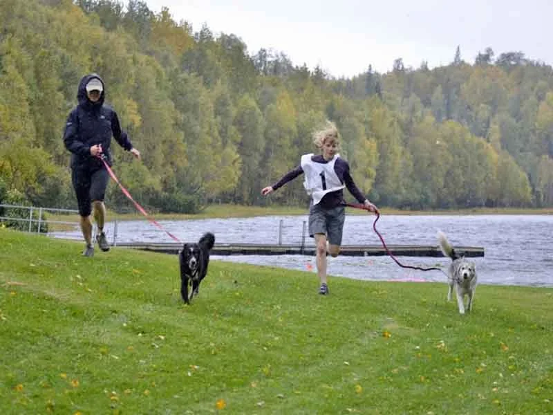 Run Rover Run 2012