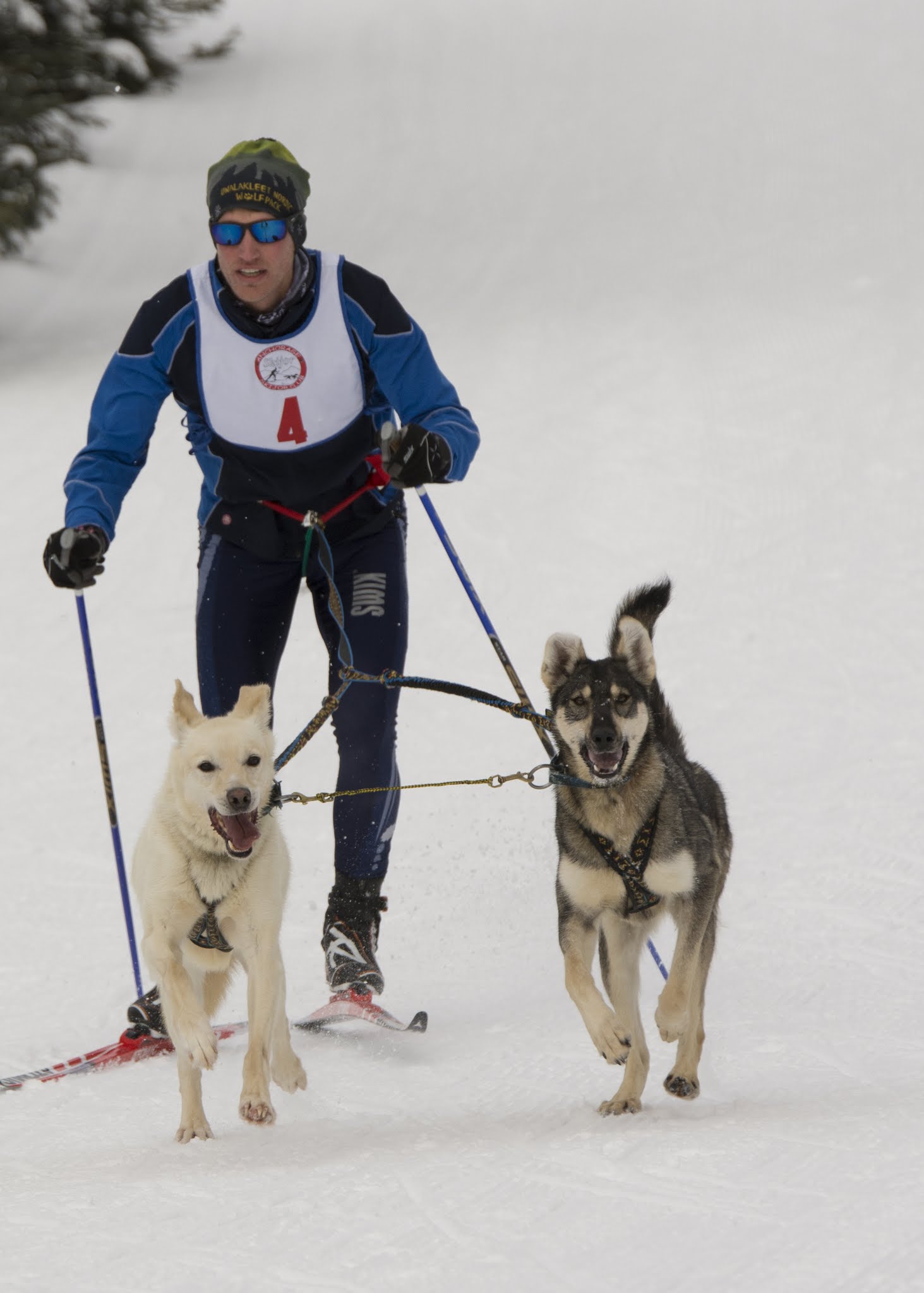 Allan Spangler with Gambit and Eisla