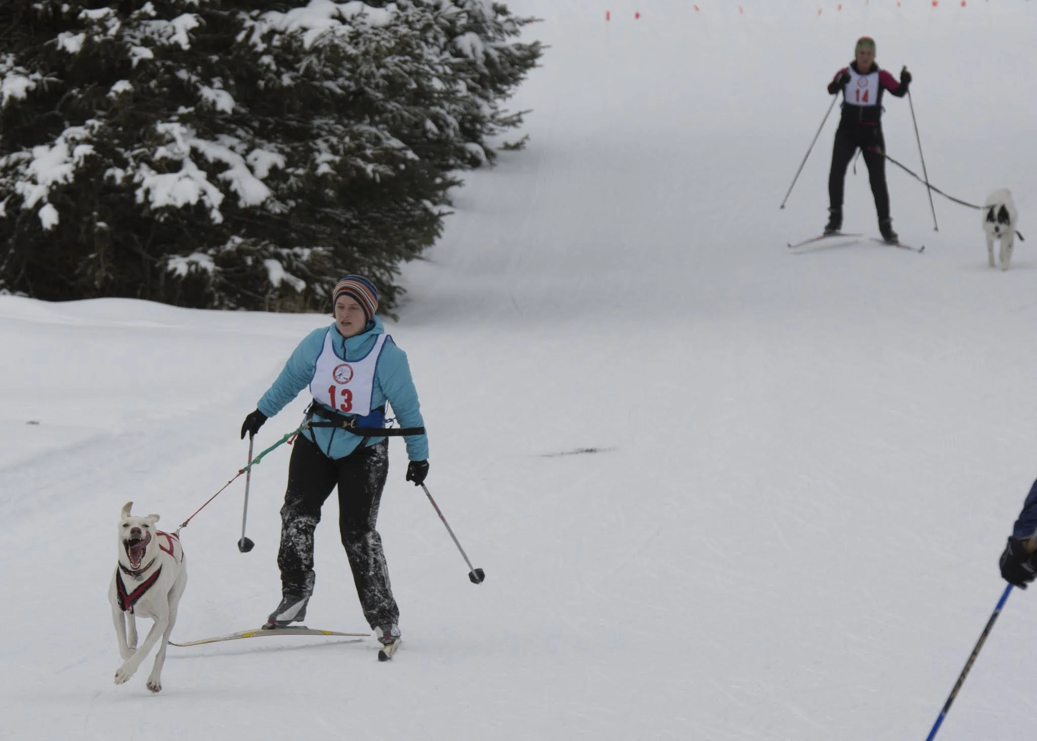Alison McCarrey with Kesugi and Jessica Graziano with Neve