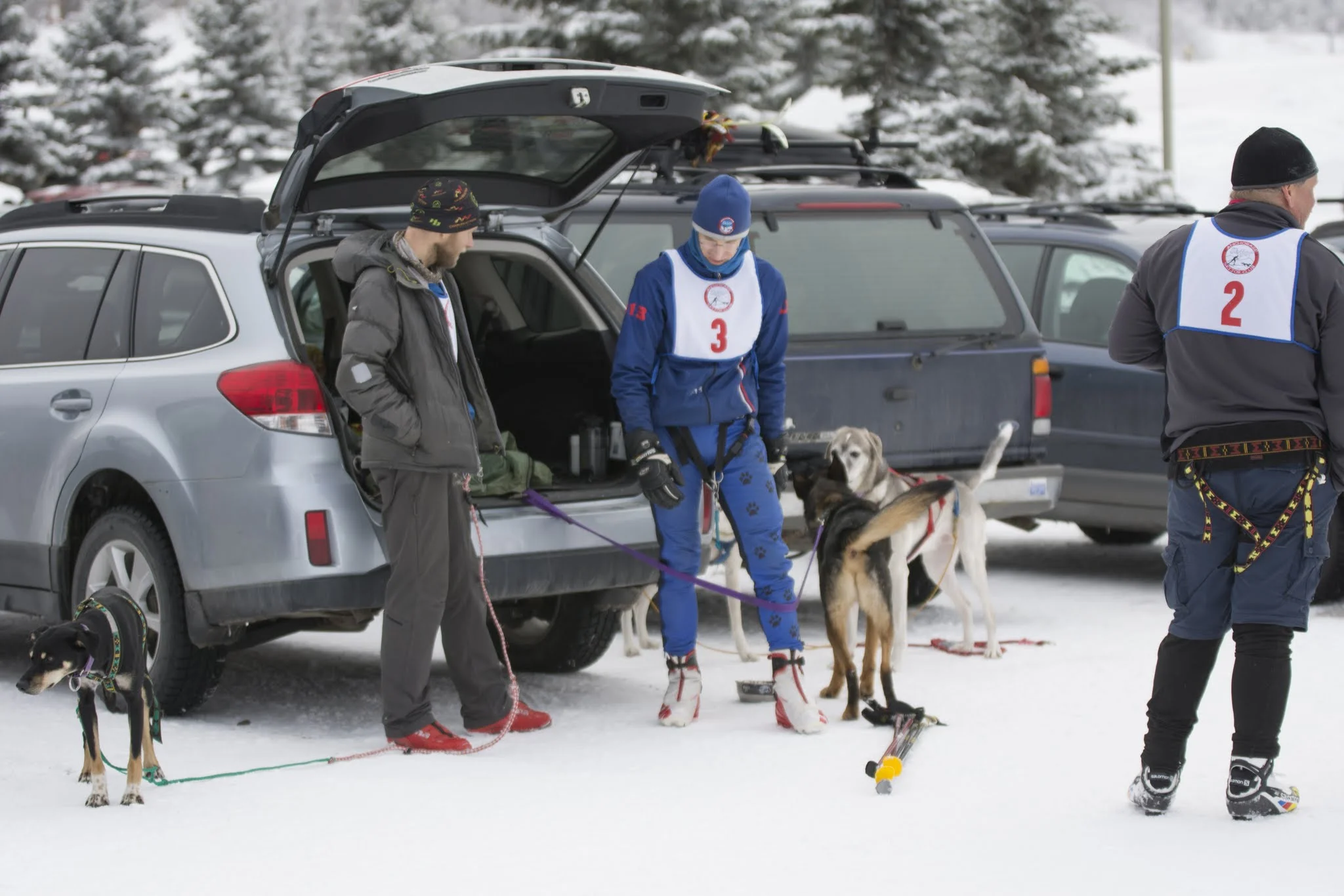 Mattias Saari, Chuck Pratt, and Mike Malvick
