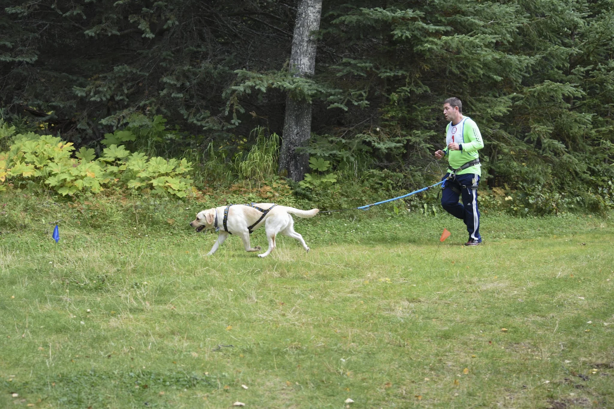 Ivan Hodes and Lumi