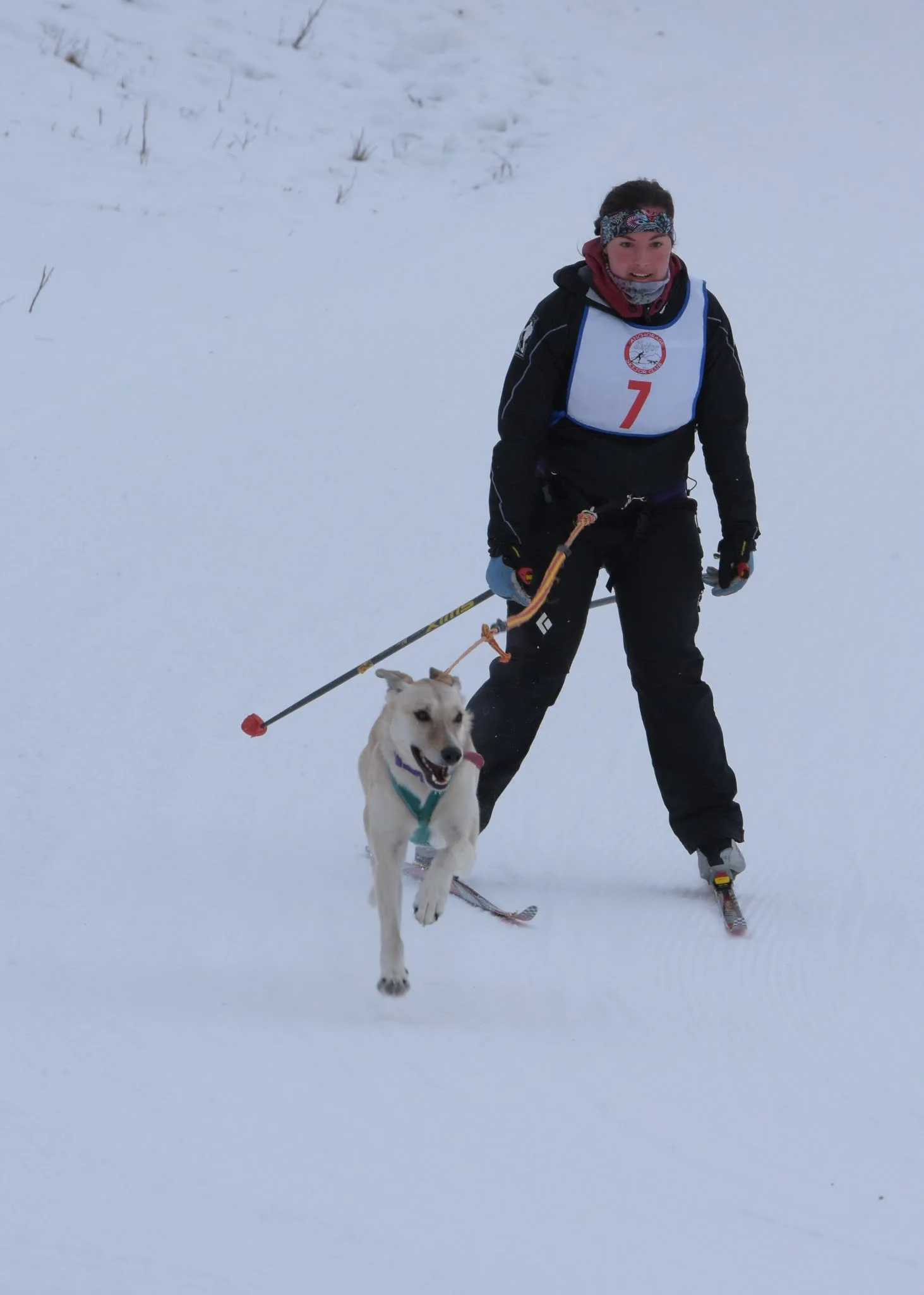 Margi Dashavsky with Sadie