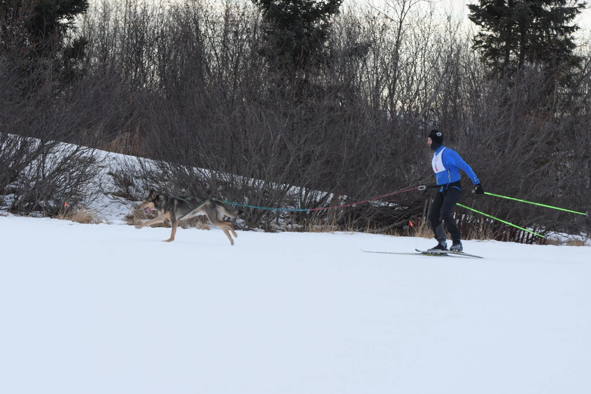 Matt Reimer with Pliny