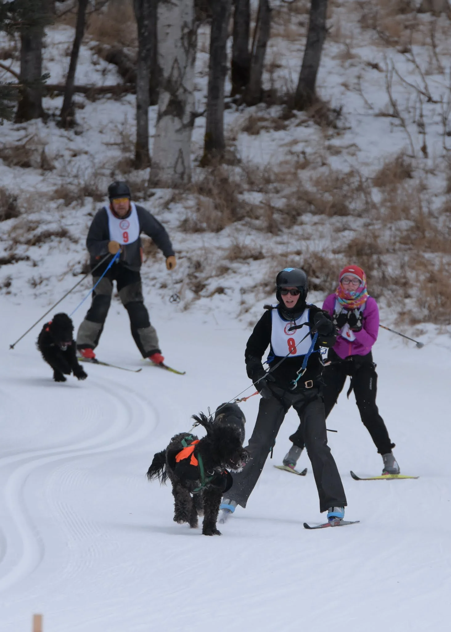 Cory Route, Meredith Mapes, and Erik Route