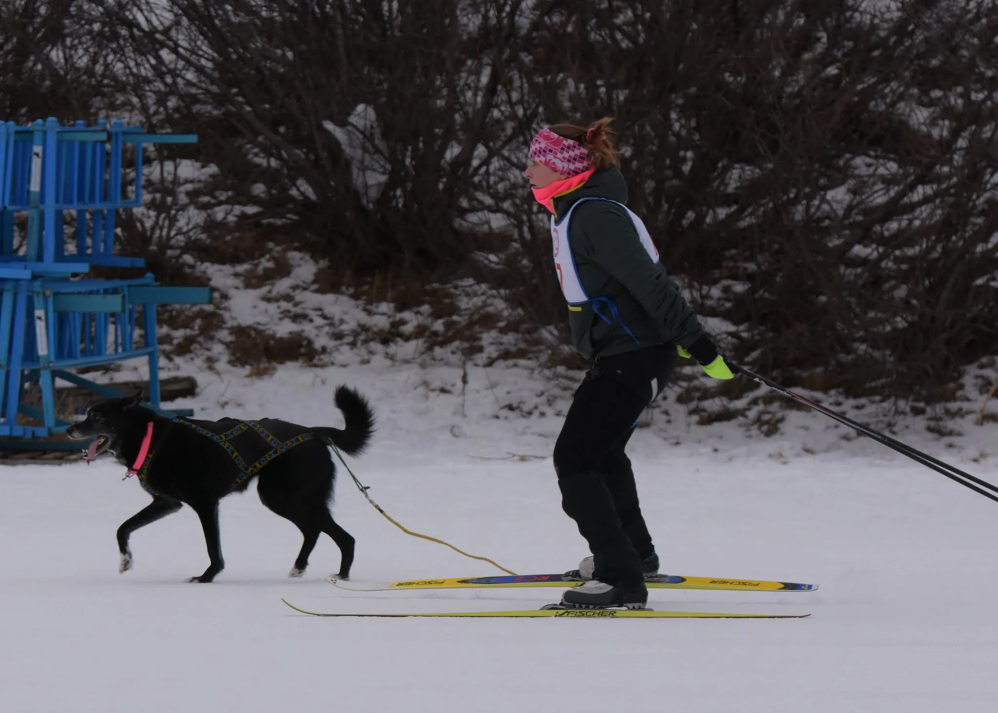 Marissa Pedersen with Zara