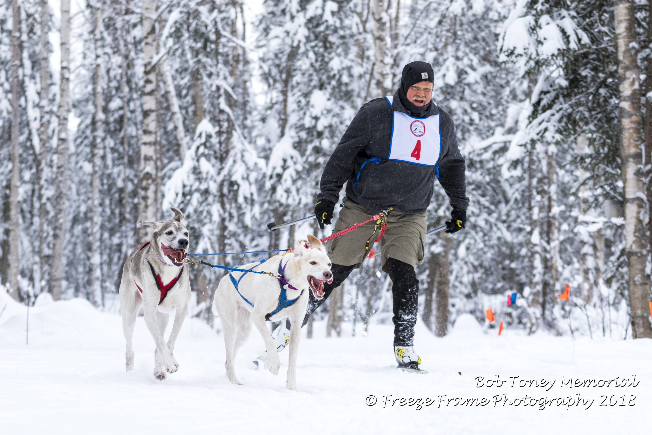 Mike Malvick with Hazel and Taos