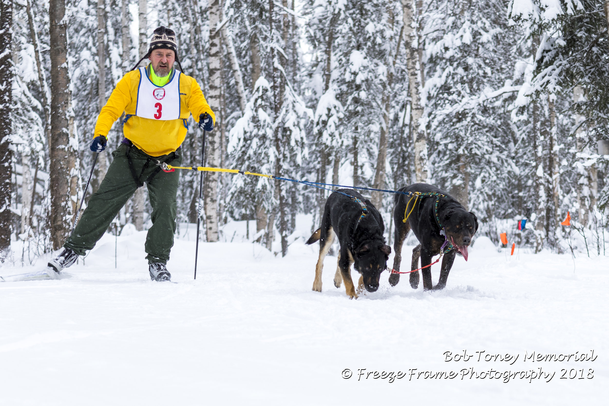 Michael Conner with Bjorn and Rollo