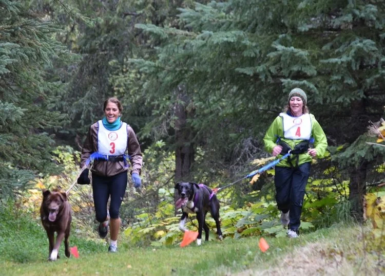 Run Rover Run Sunday September 9th