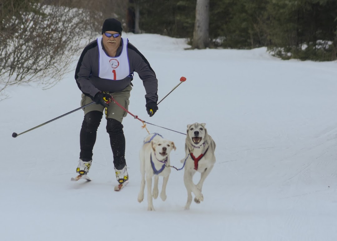 Mike Malvick with Taos and Hazel