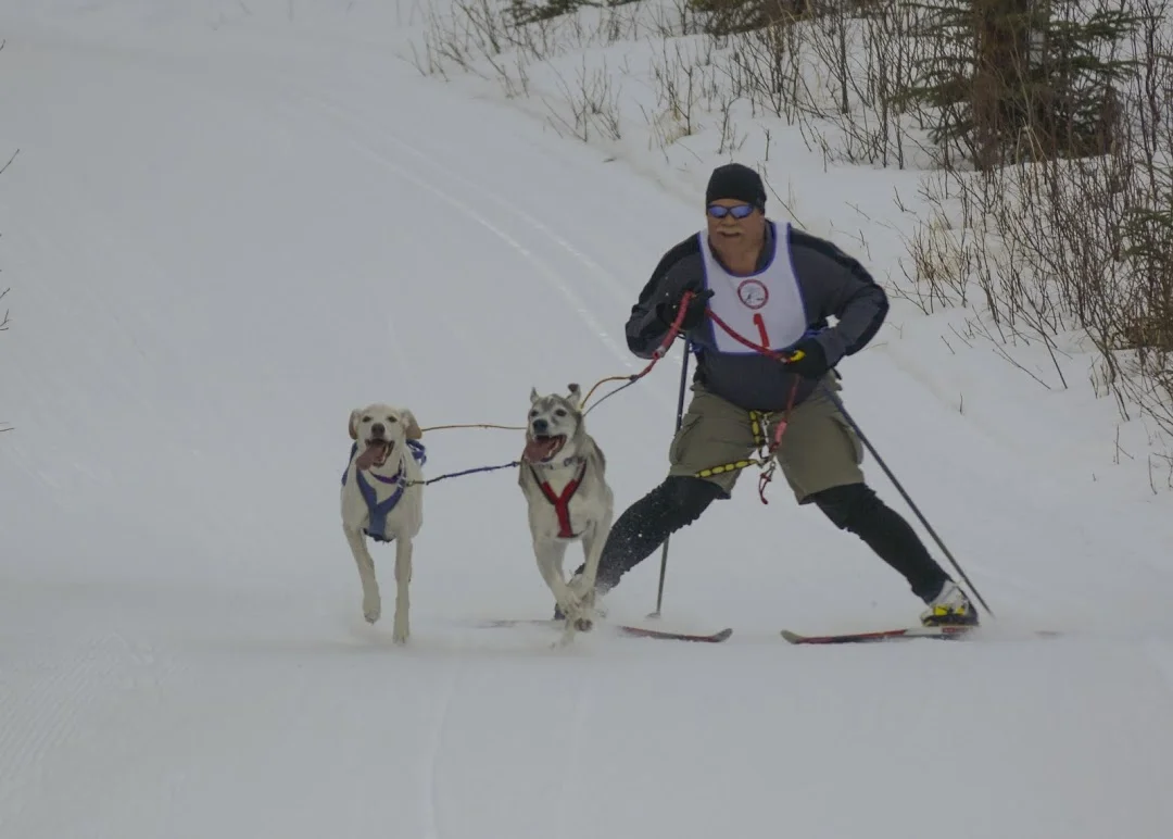 Mike Malvick with Taos and Hazel