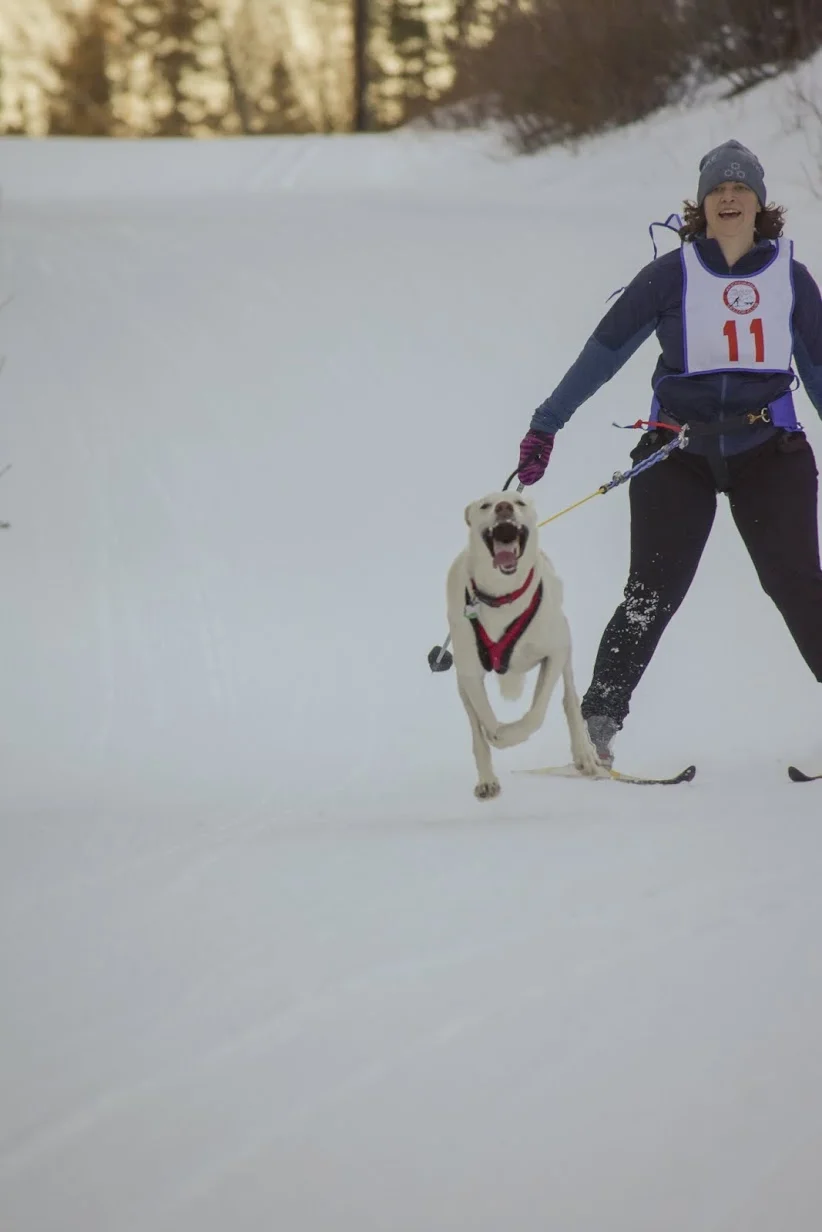 Alison McCarrey with Kesugi