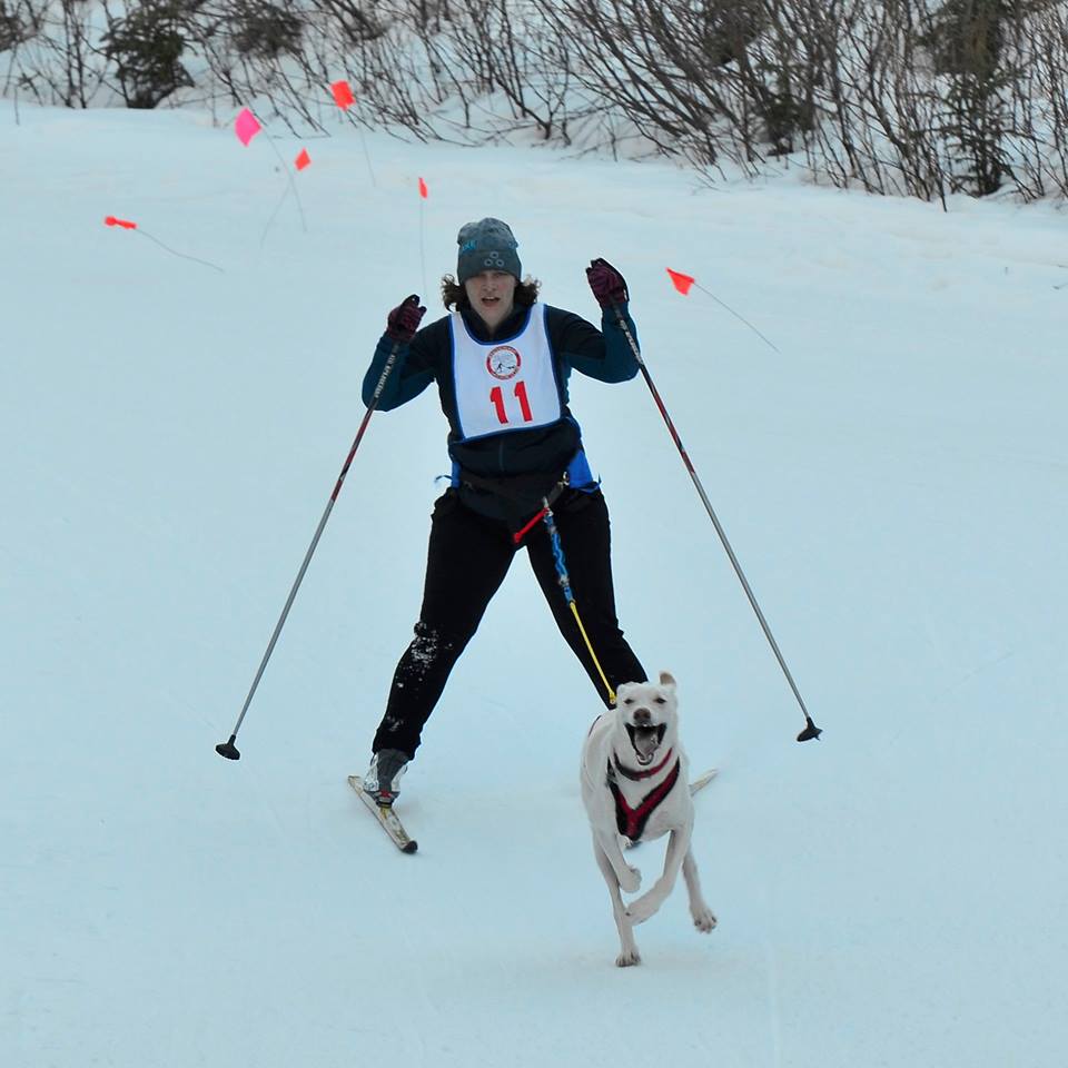 Alison McCarrey with Kesugi