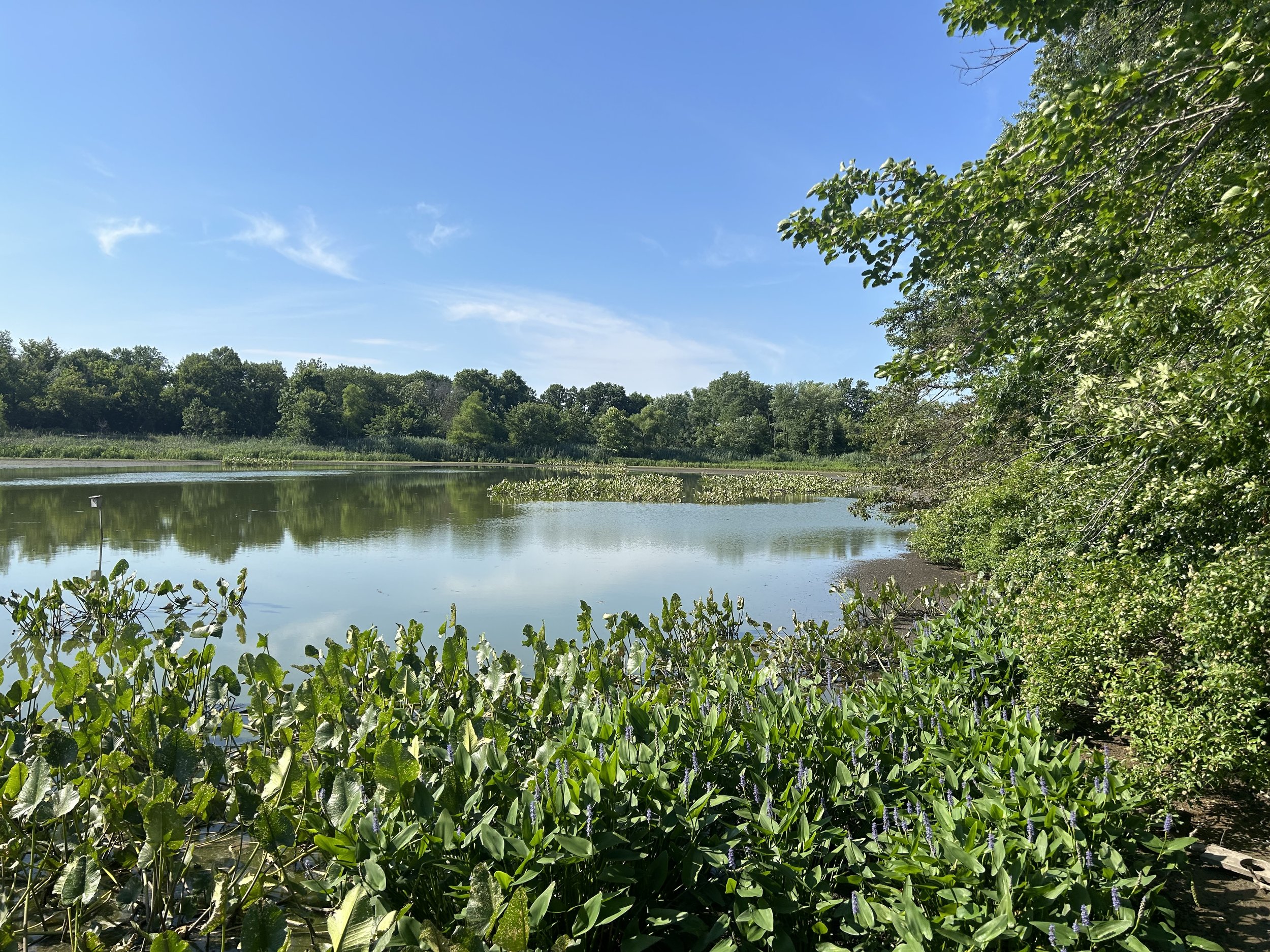 Sharing, Shearing, See(D)ing, Holding