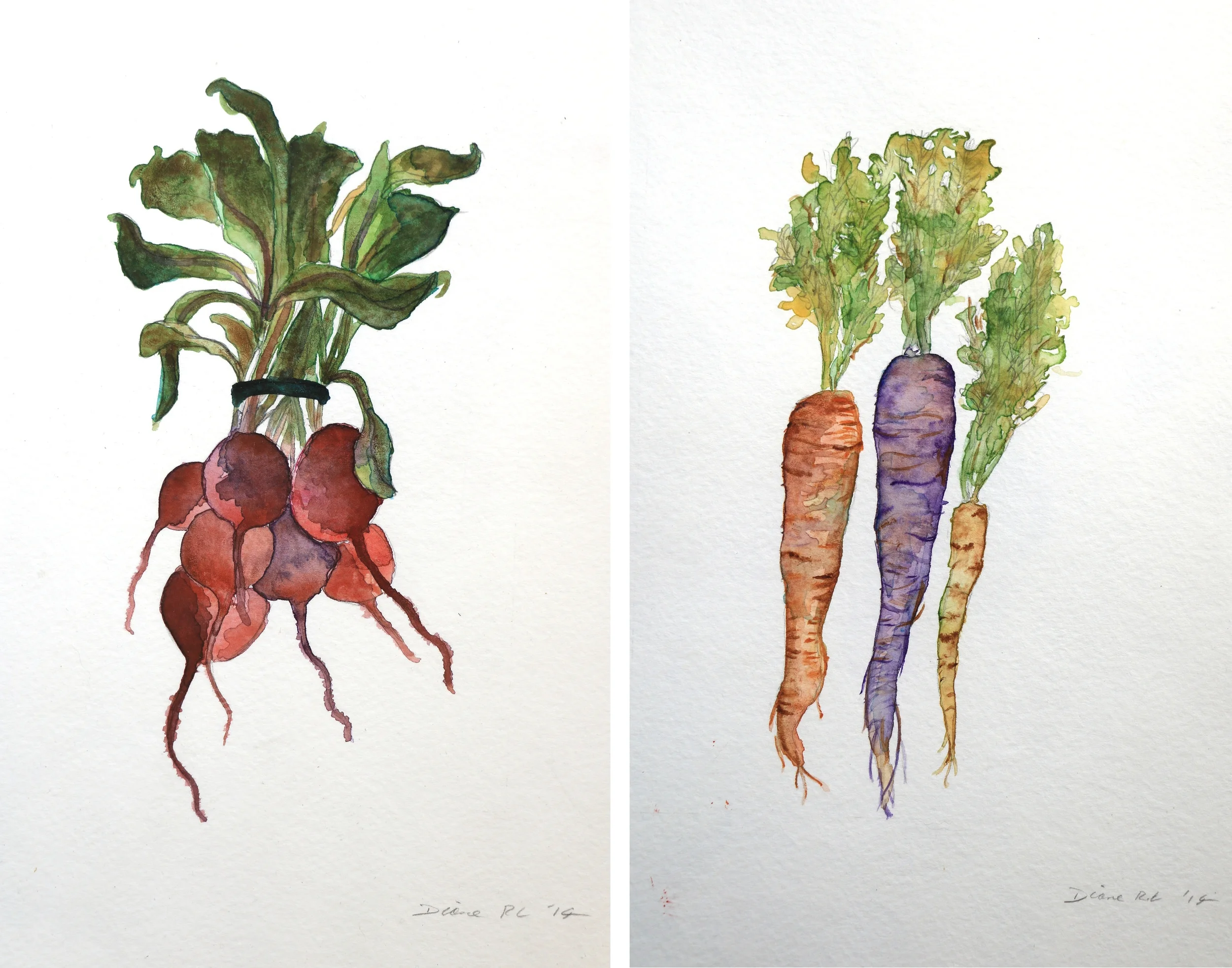 carrots_beets_web.jpg