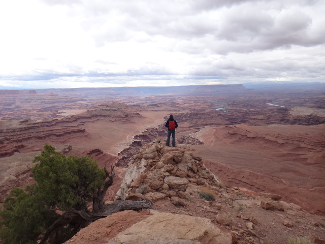 Looking down on the White Rim