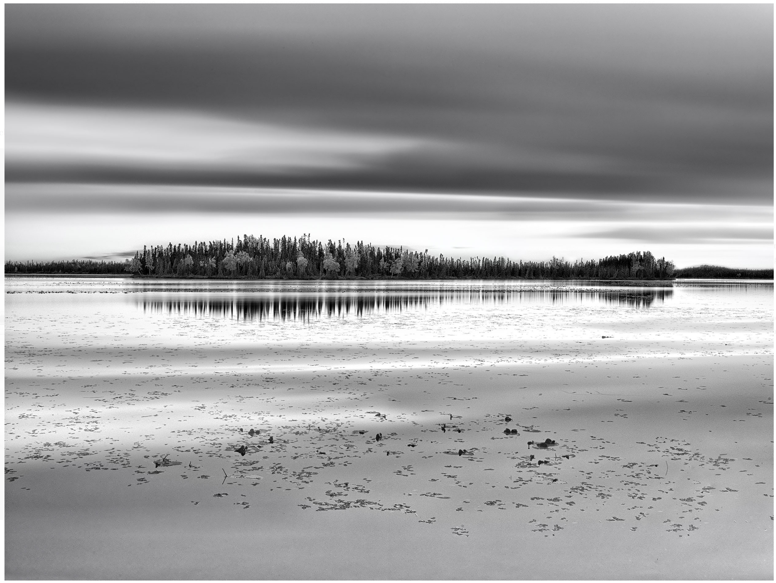 Screen Shot 2016-09-07 at 3.36.15 AM.png