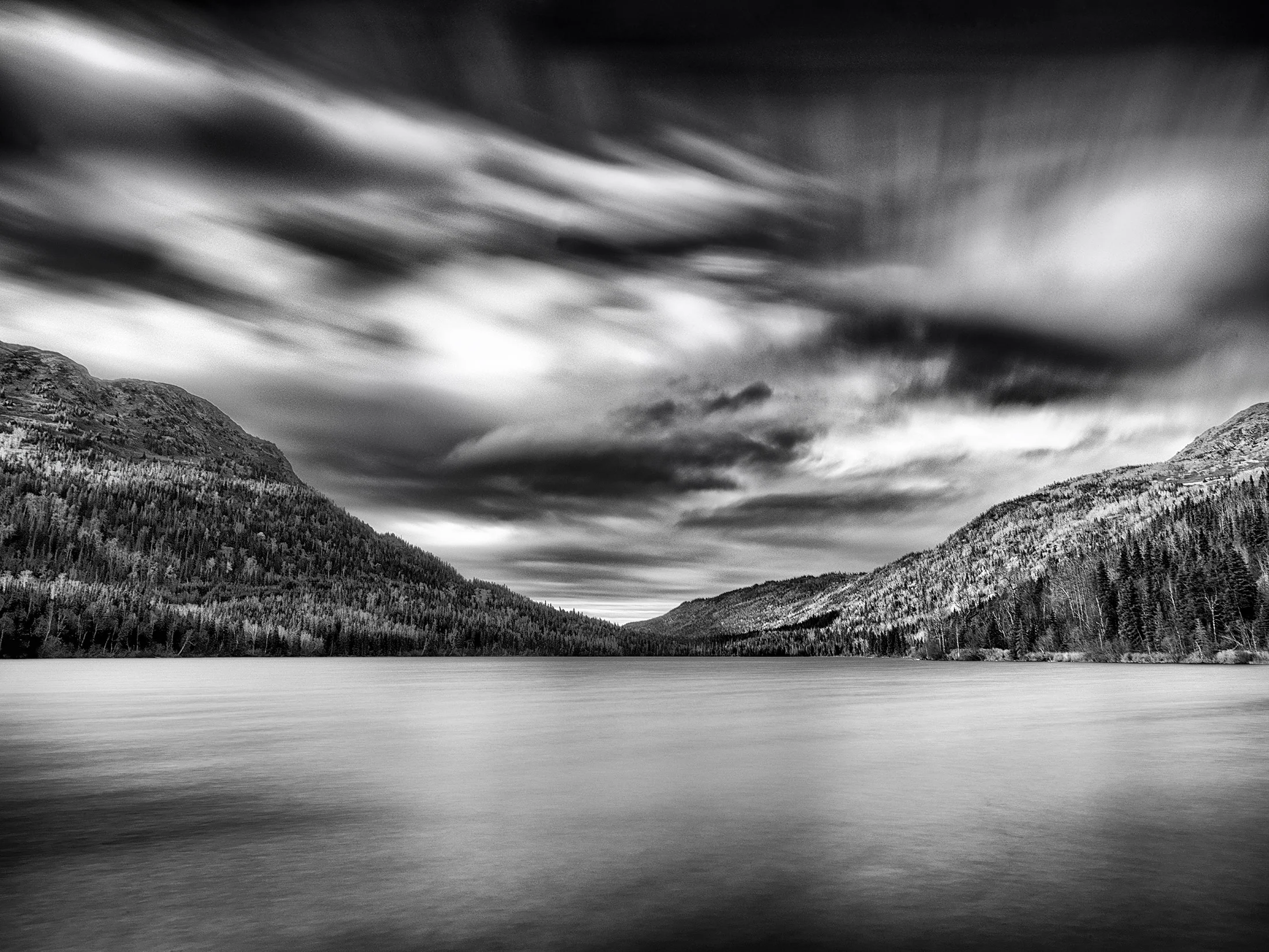 Black and White No. 12.jpg