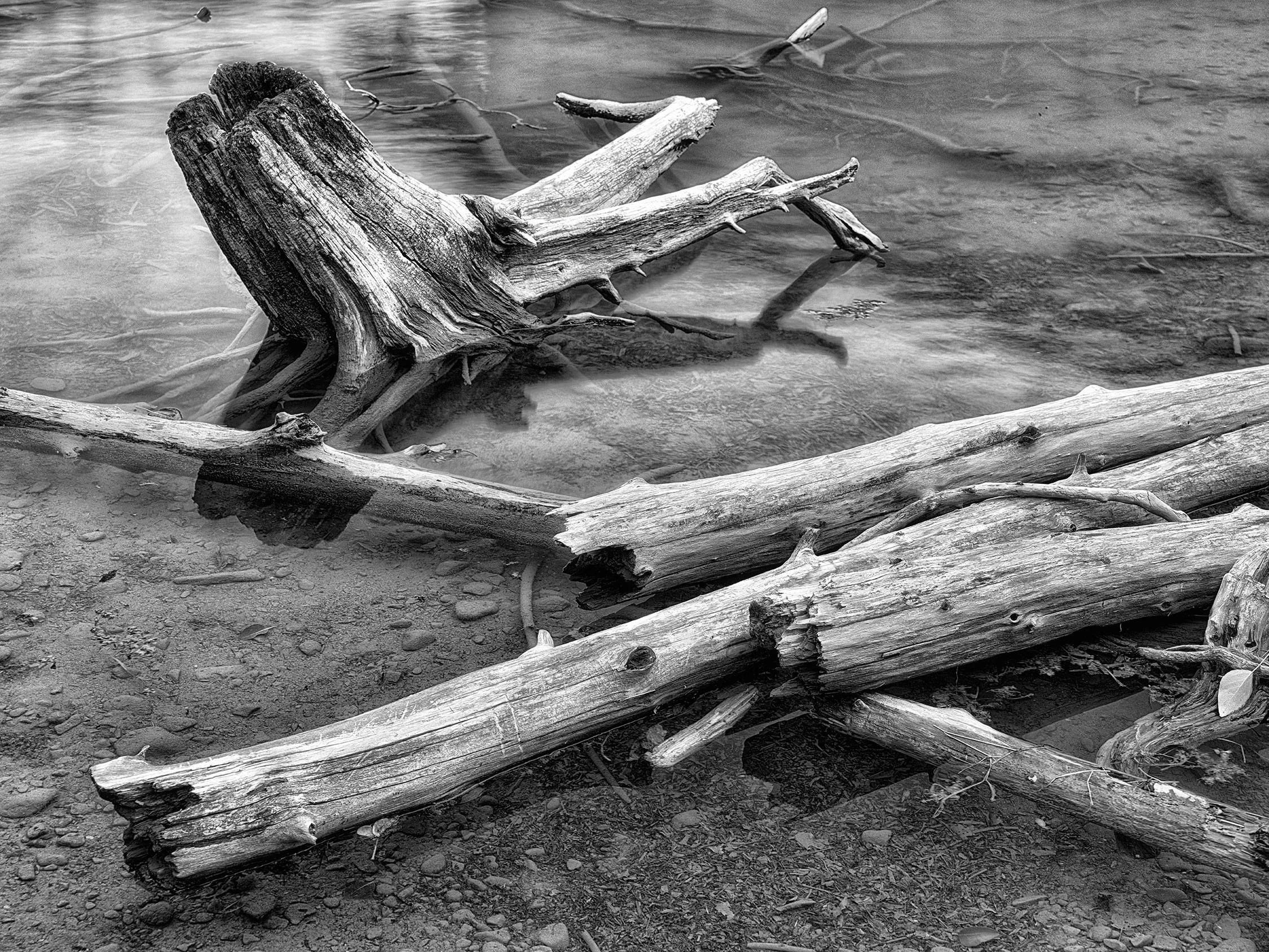 Black and White Concept No. 1.jpg