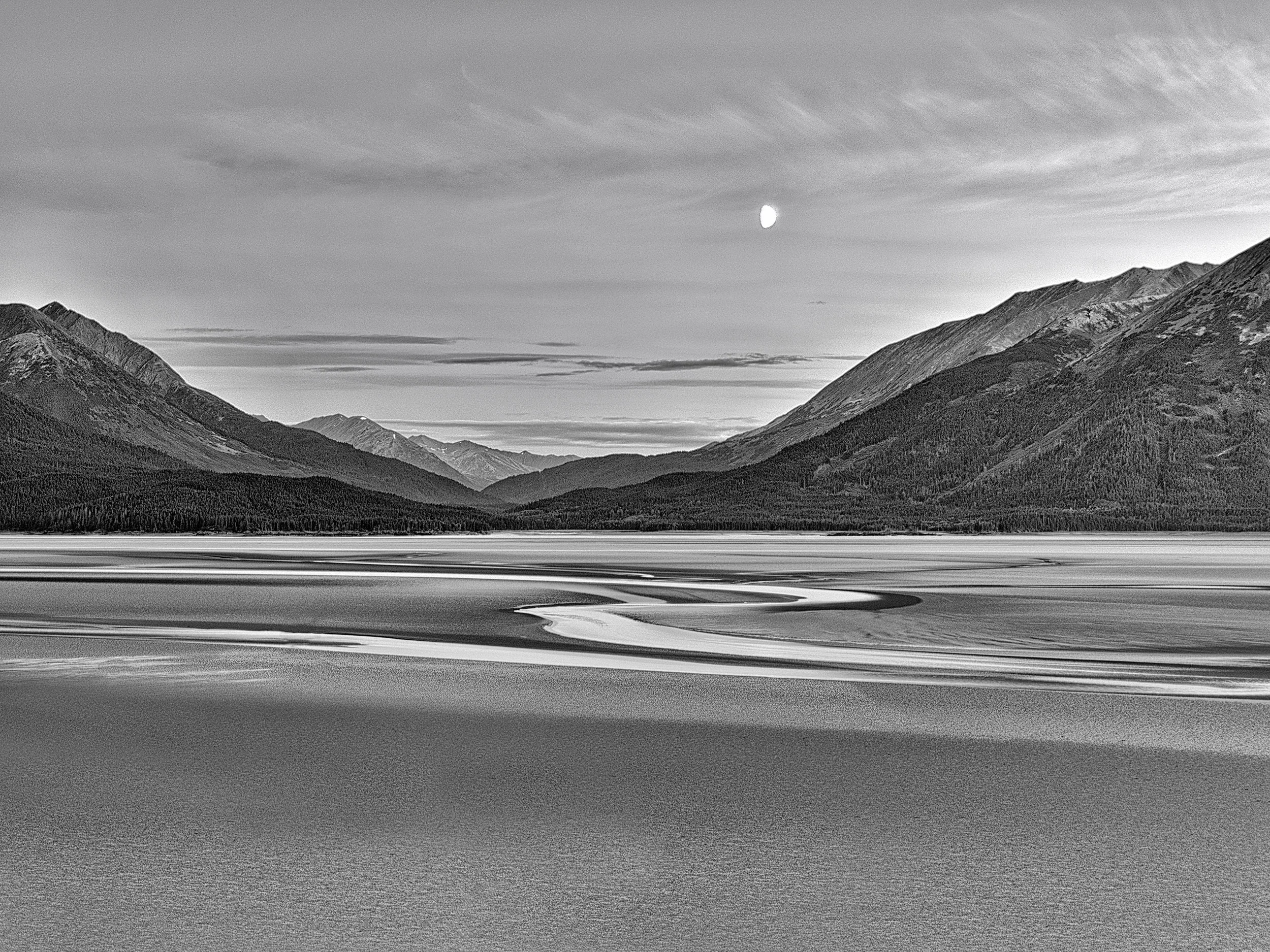 Black and White No. 3.jpg