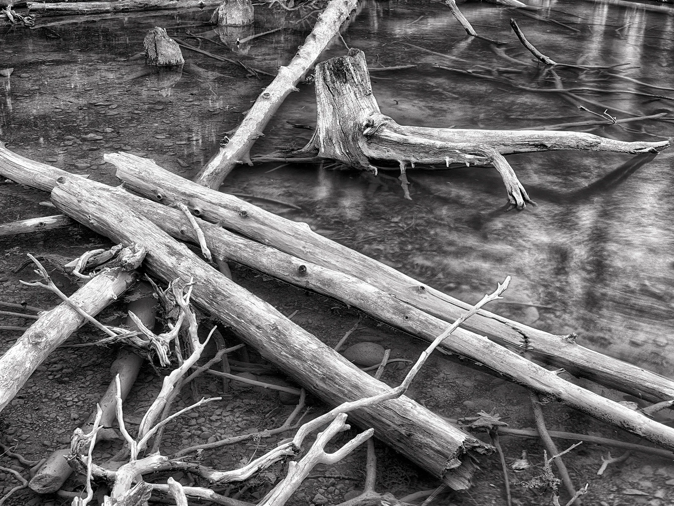 Black-and-White-Concept-No.-16.jpg
