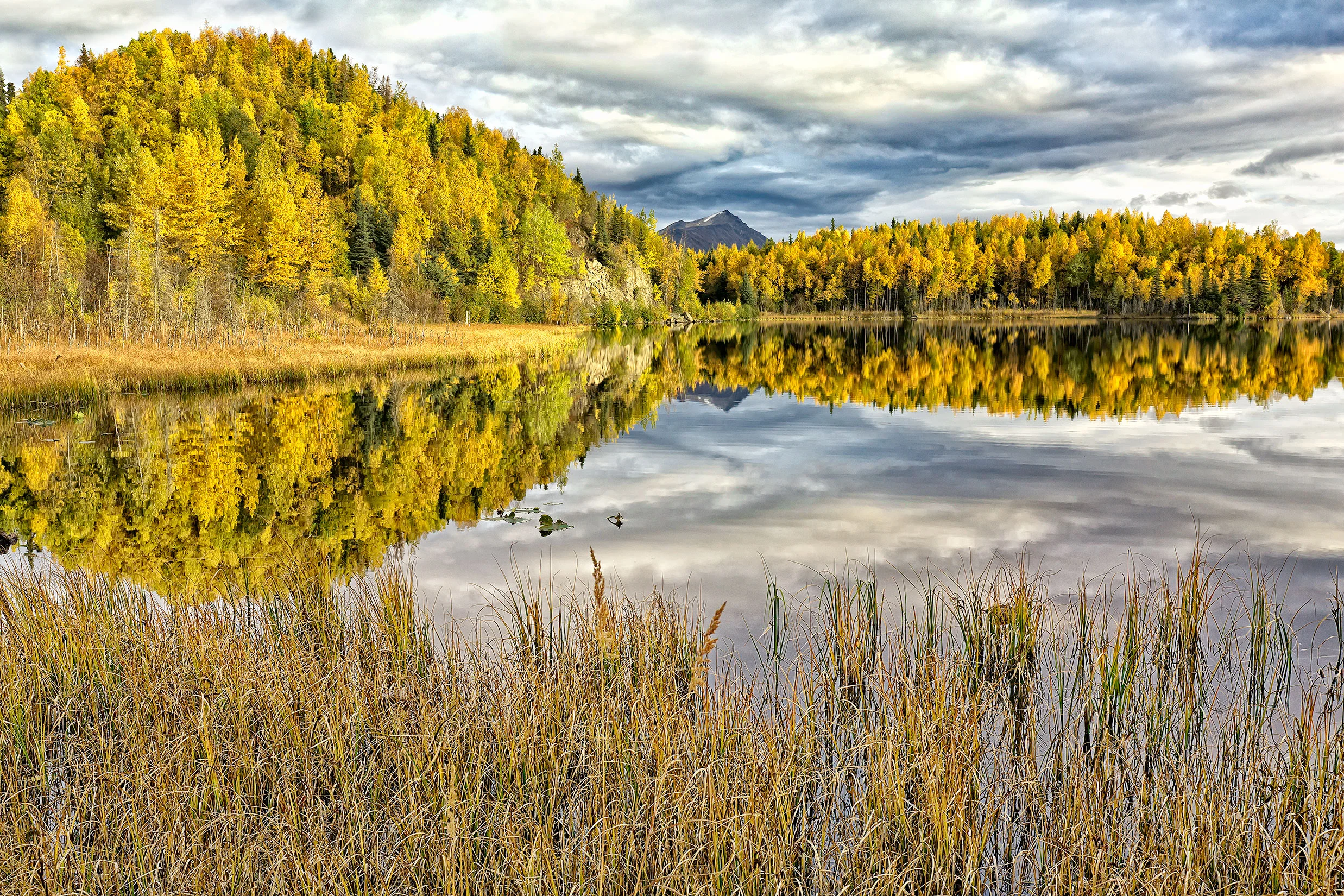 Autumn Colors.jpg