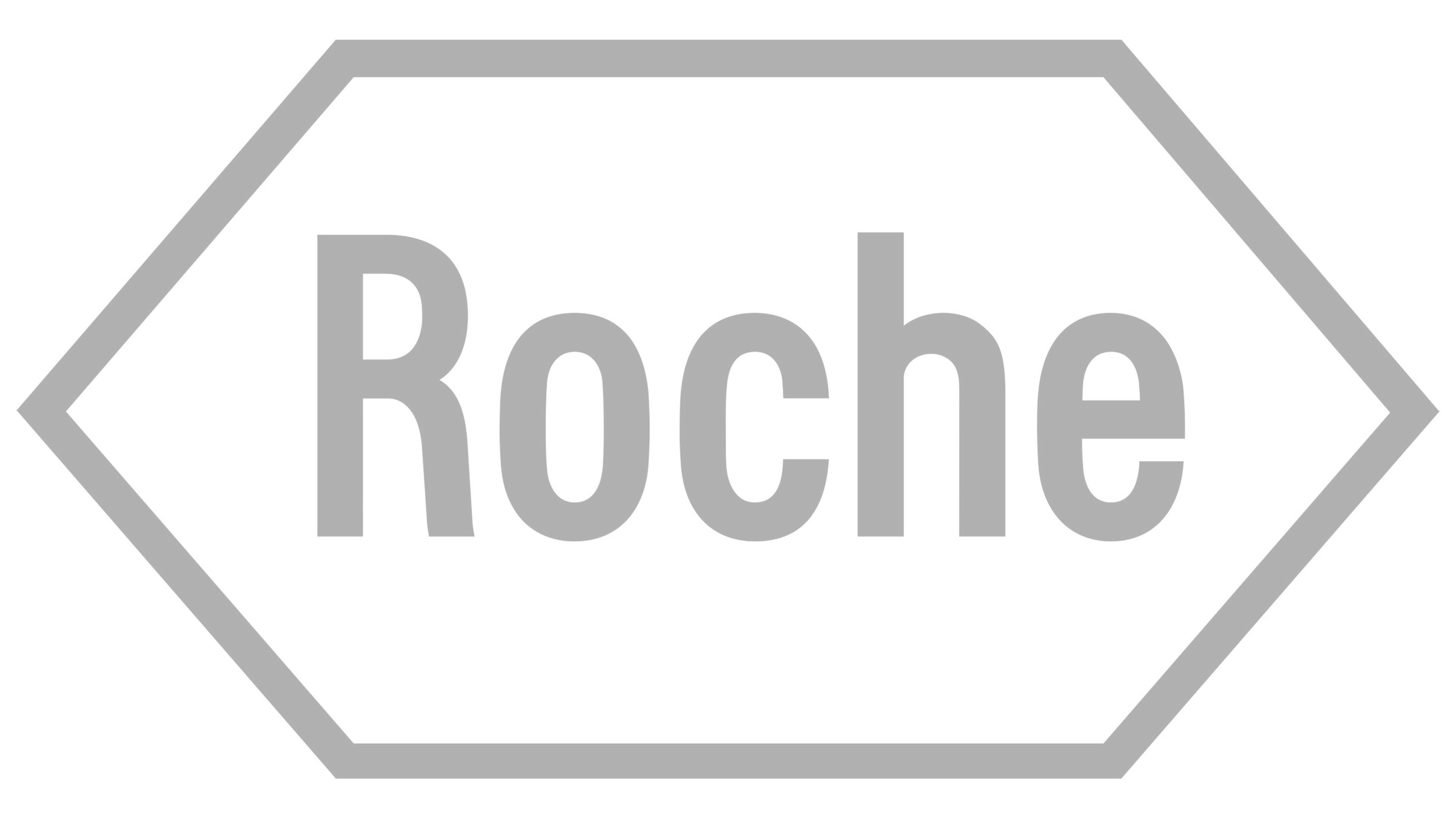 Gray arrow-shaped road sign with the word "Roche" in large letters.