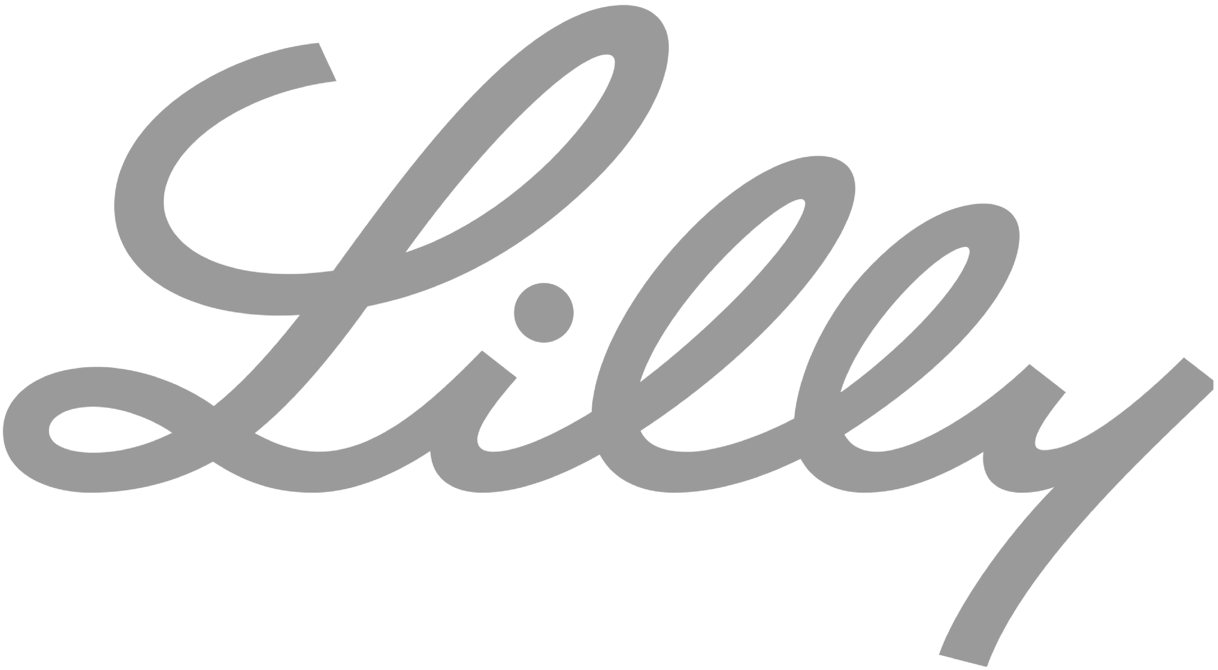 Gray cursive text that says "Lilly" on a white background.