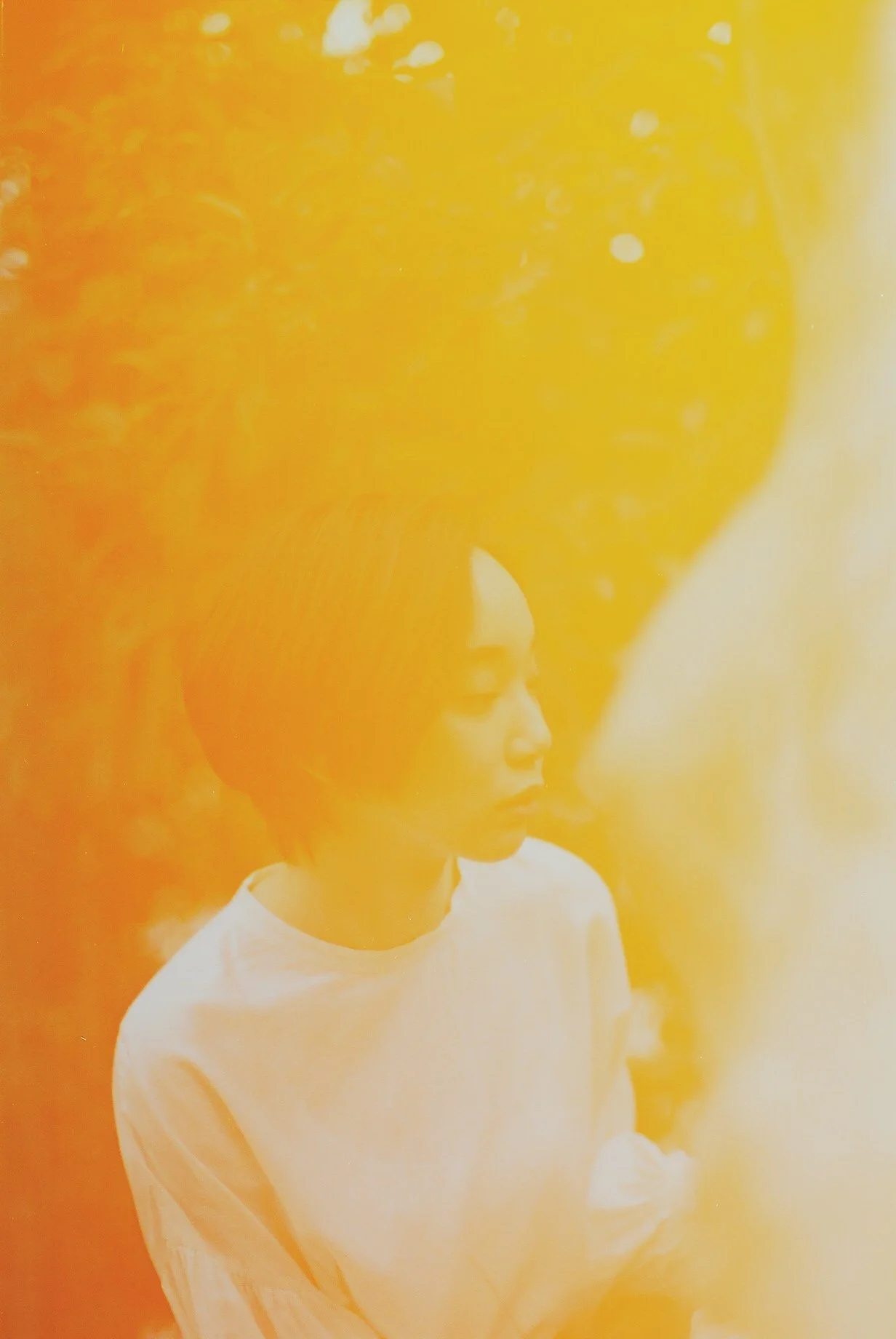 000012.jpg