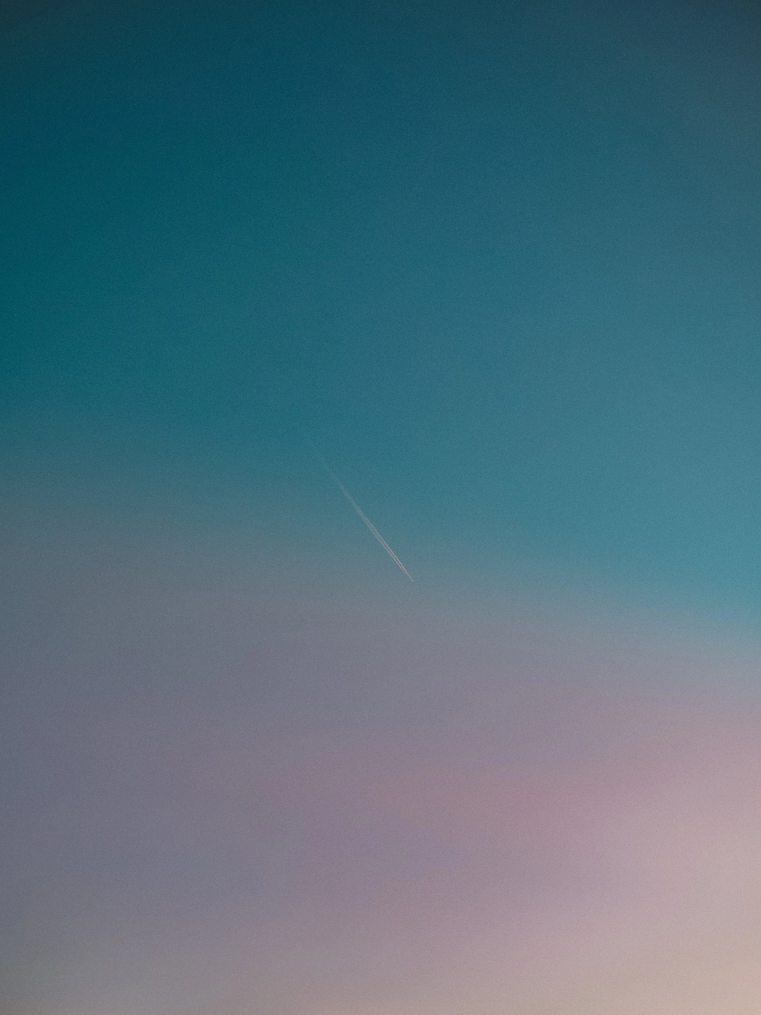 7679.jpg