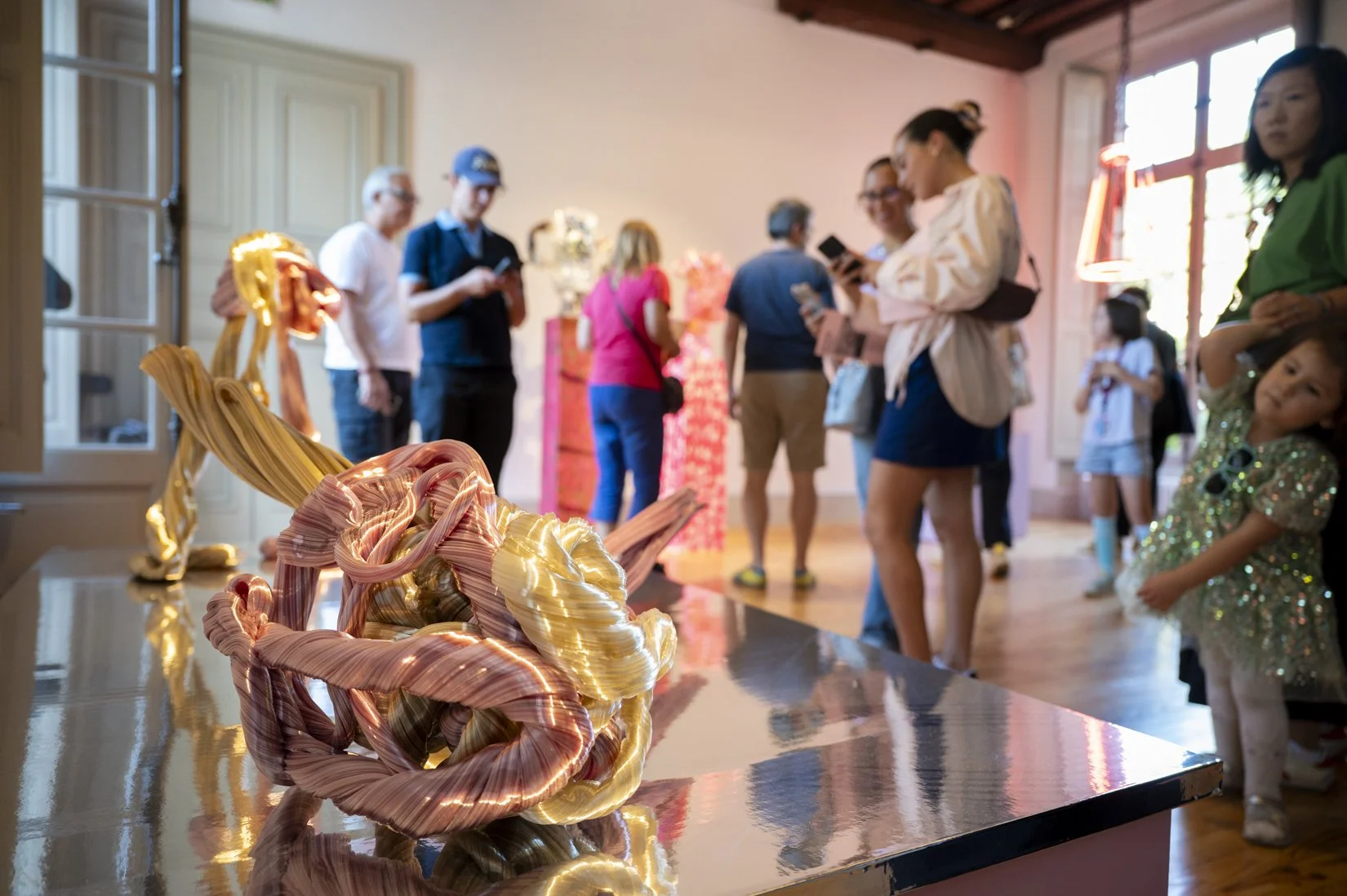 14 - Vernissage Blazing Grace - Voyez-Vous (Laetitia d'Aboville)_8647.jpeg