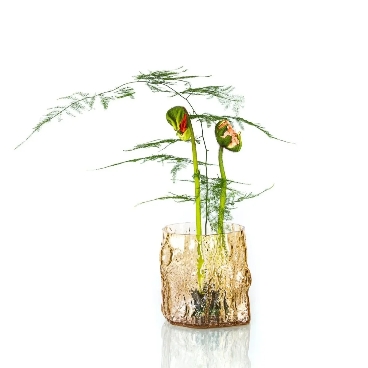 _AN_5431-glas+jan+2023_WEBB.jpg