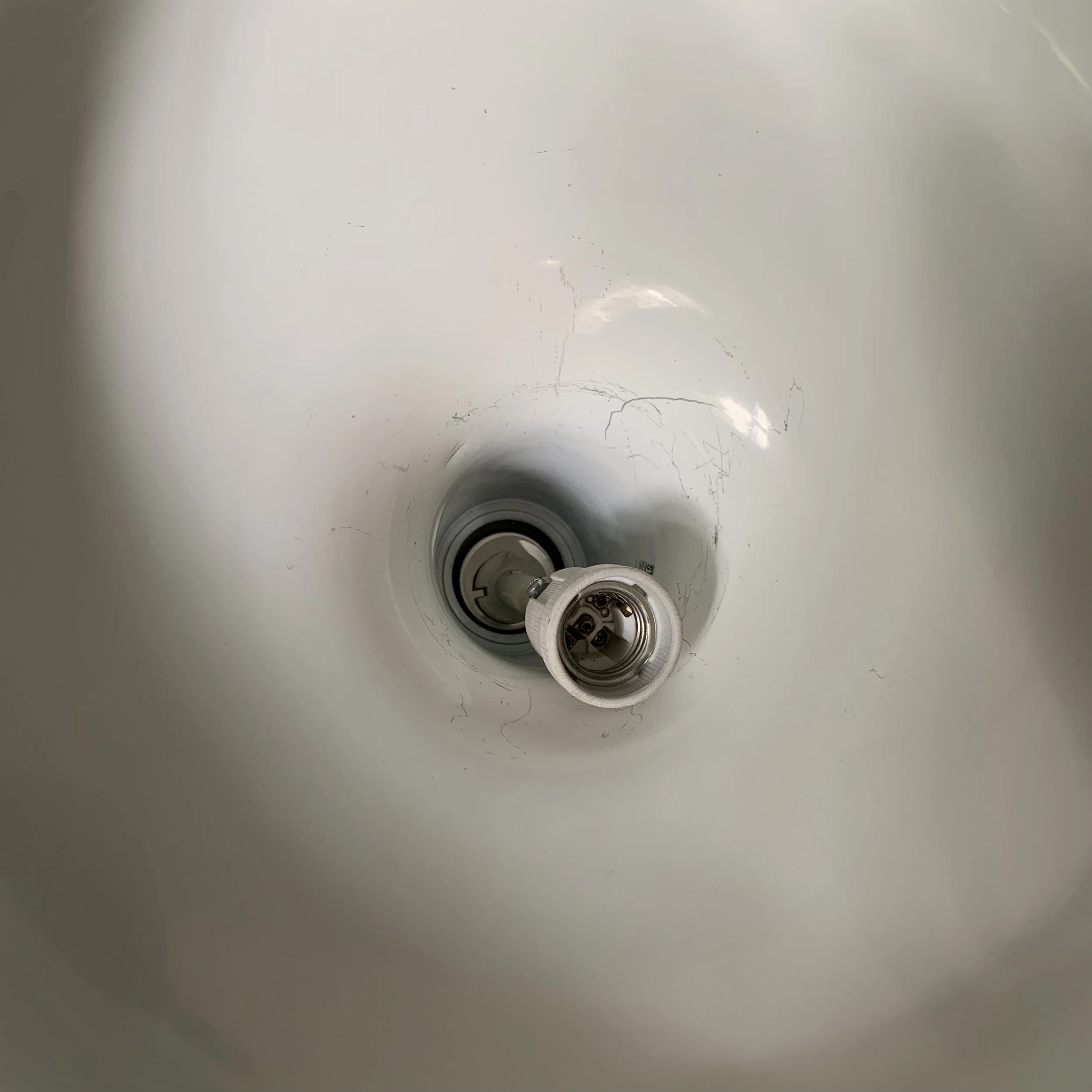 IMG_7308.jpeg