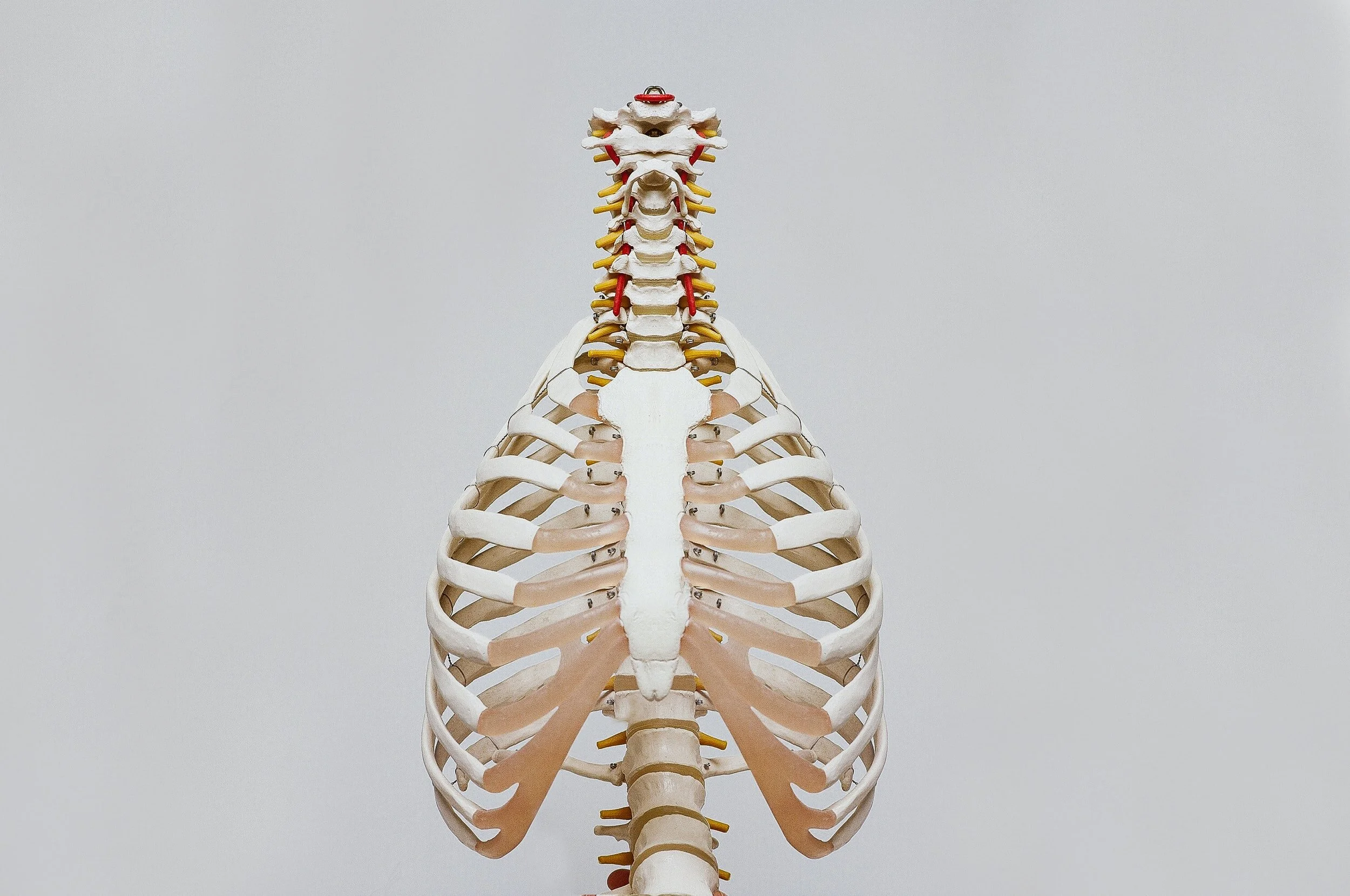 Check Your Technique!