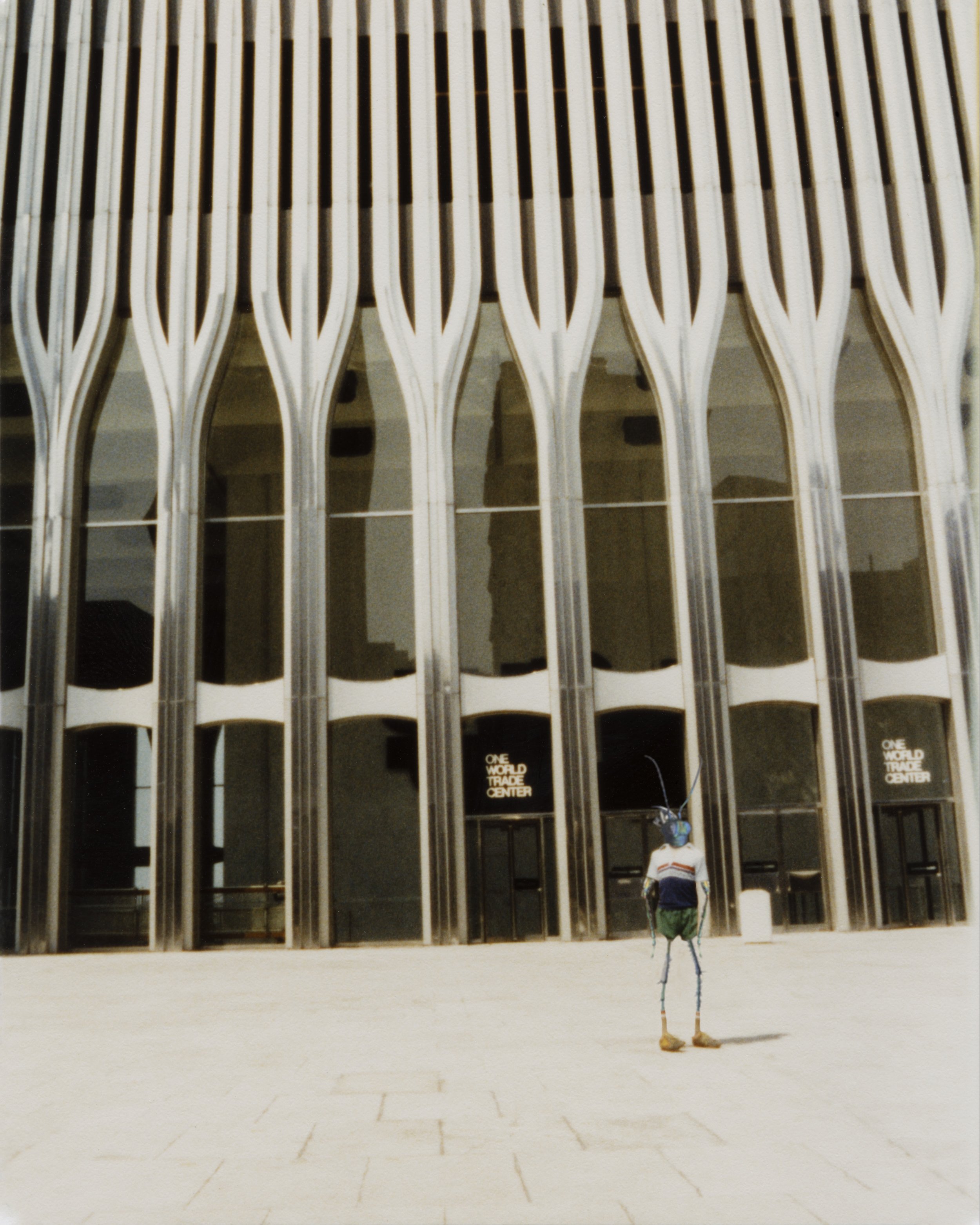 world trade center.jpeg