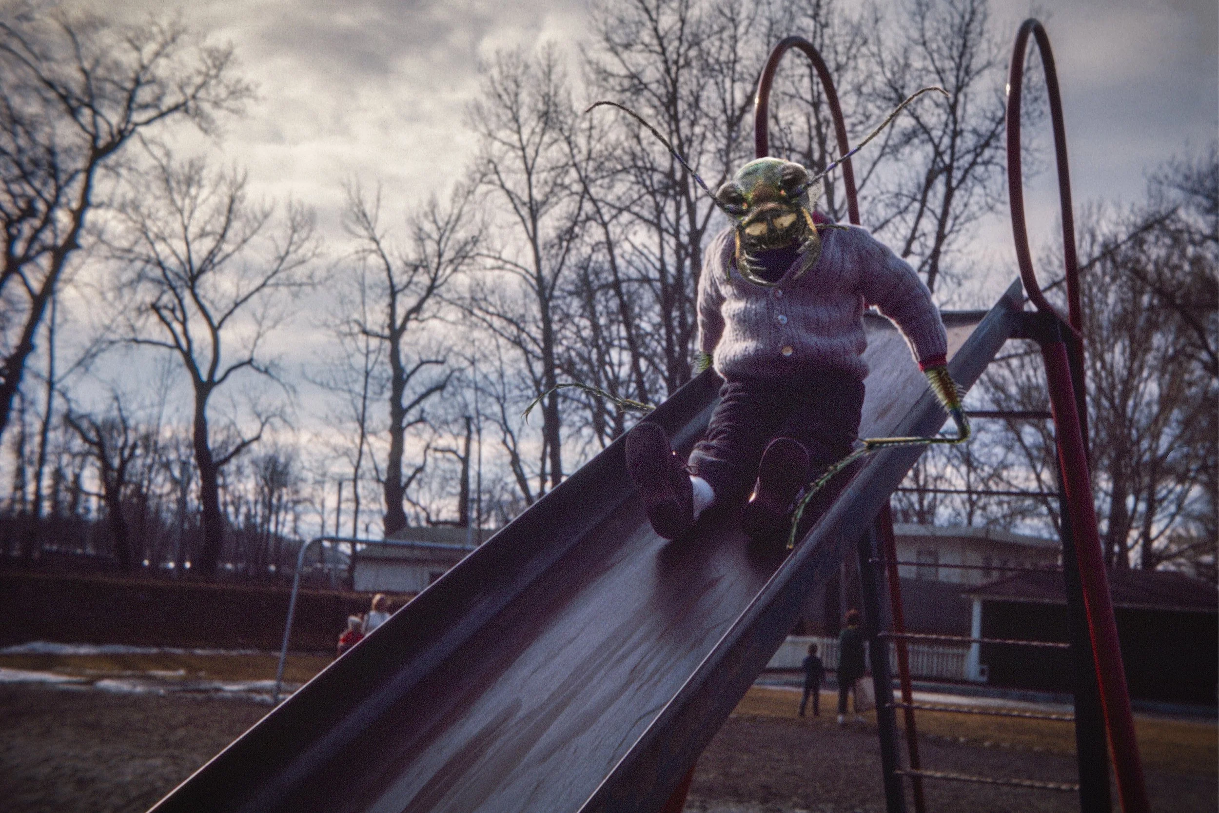 beetle on slide.jpeg