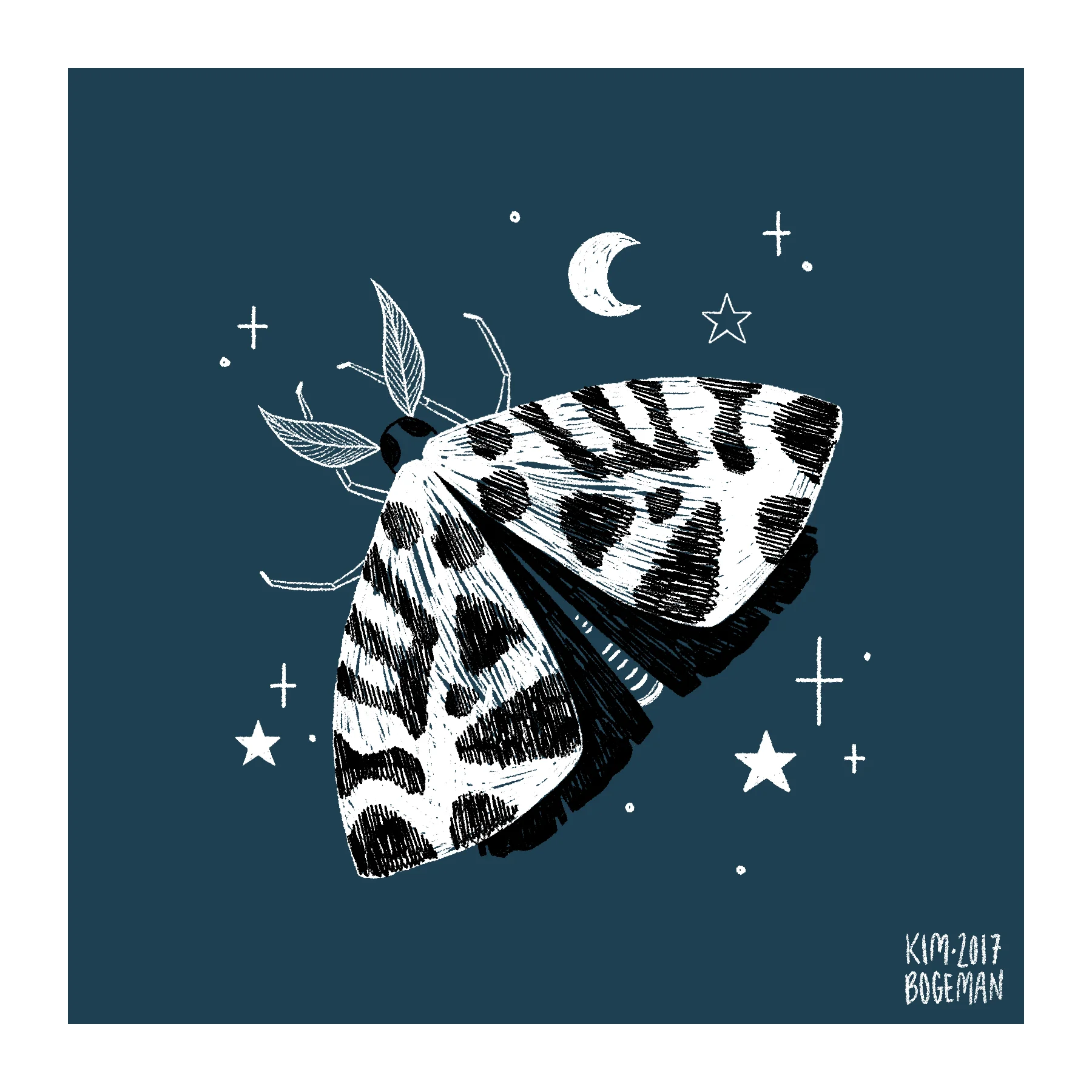 critter-1.jpg