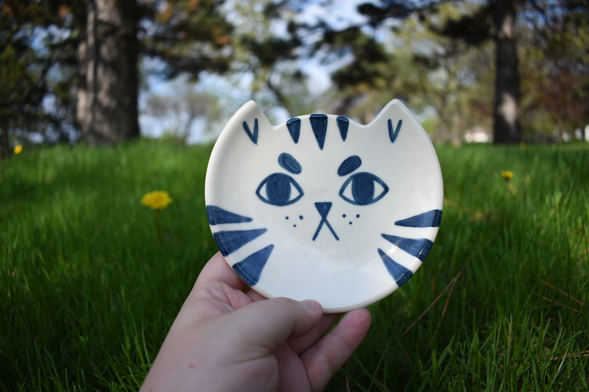 cat-plate2.jpg