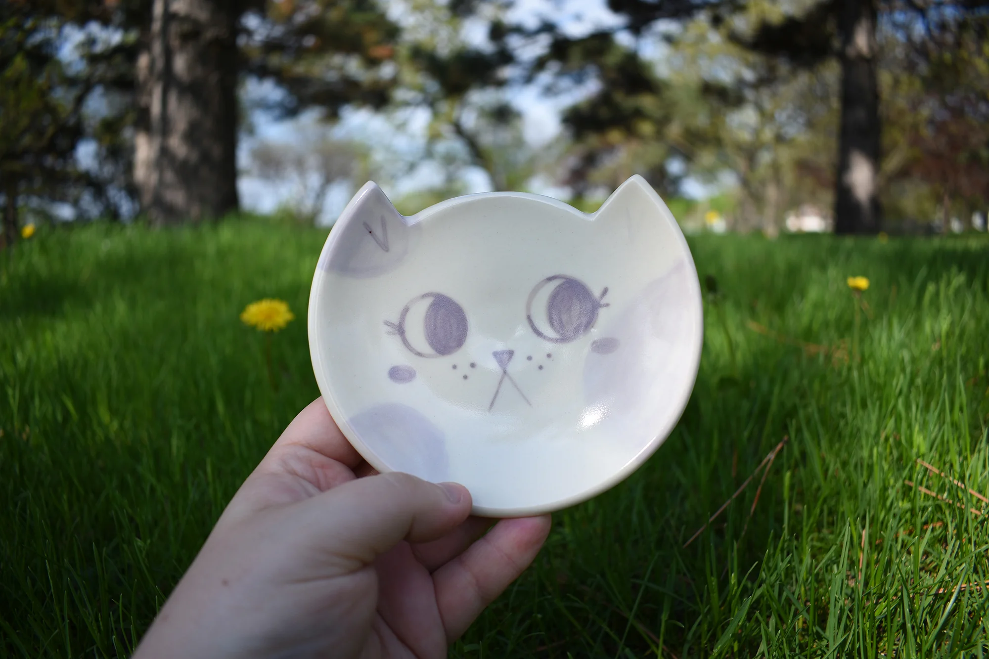 cat-plate3.jpg