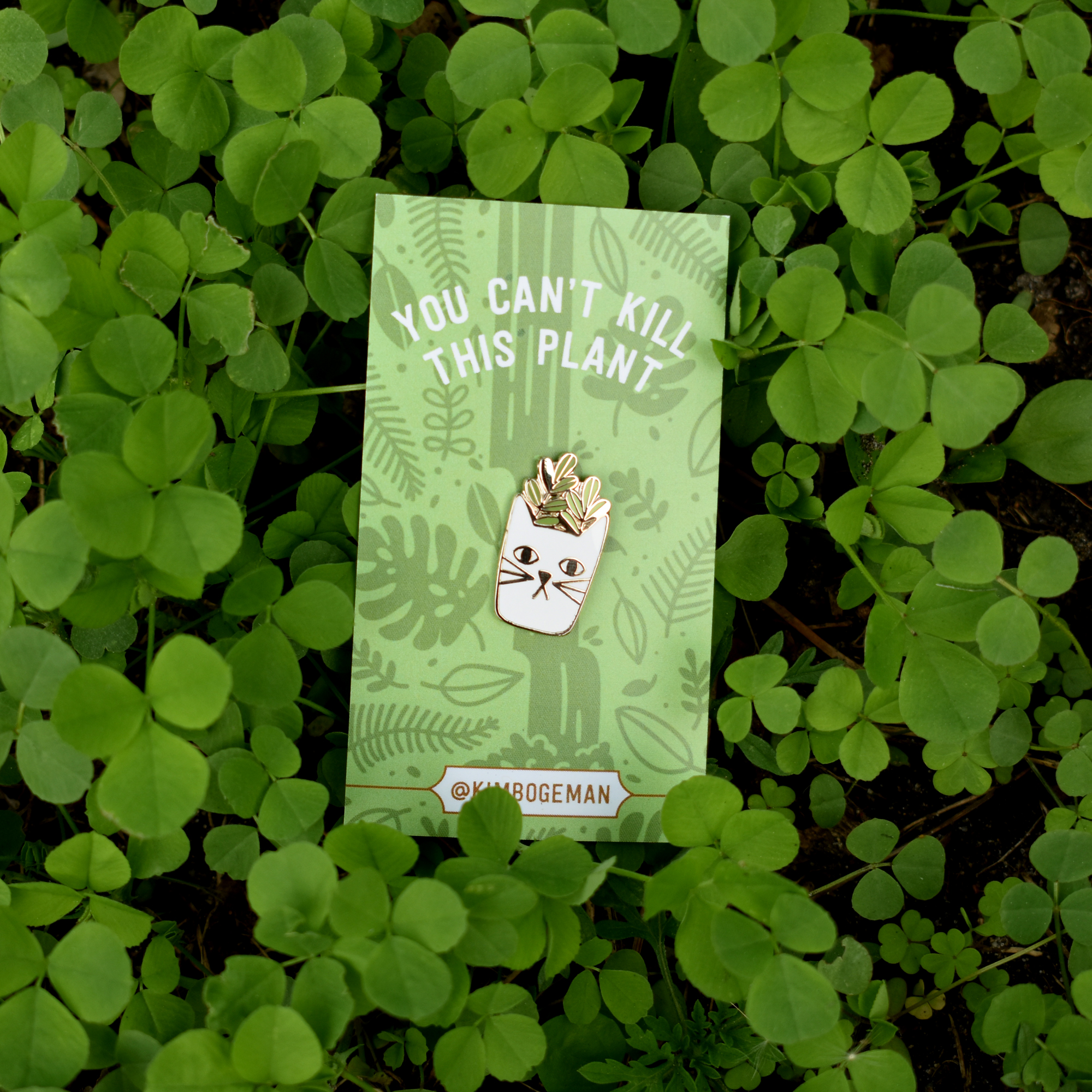 Cat Planter Enamel Pin Kim Bogeman Illustration