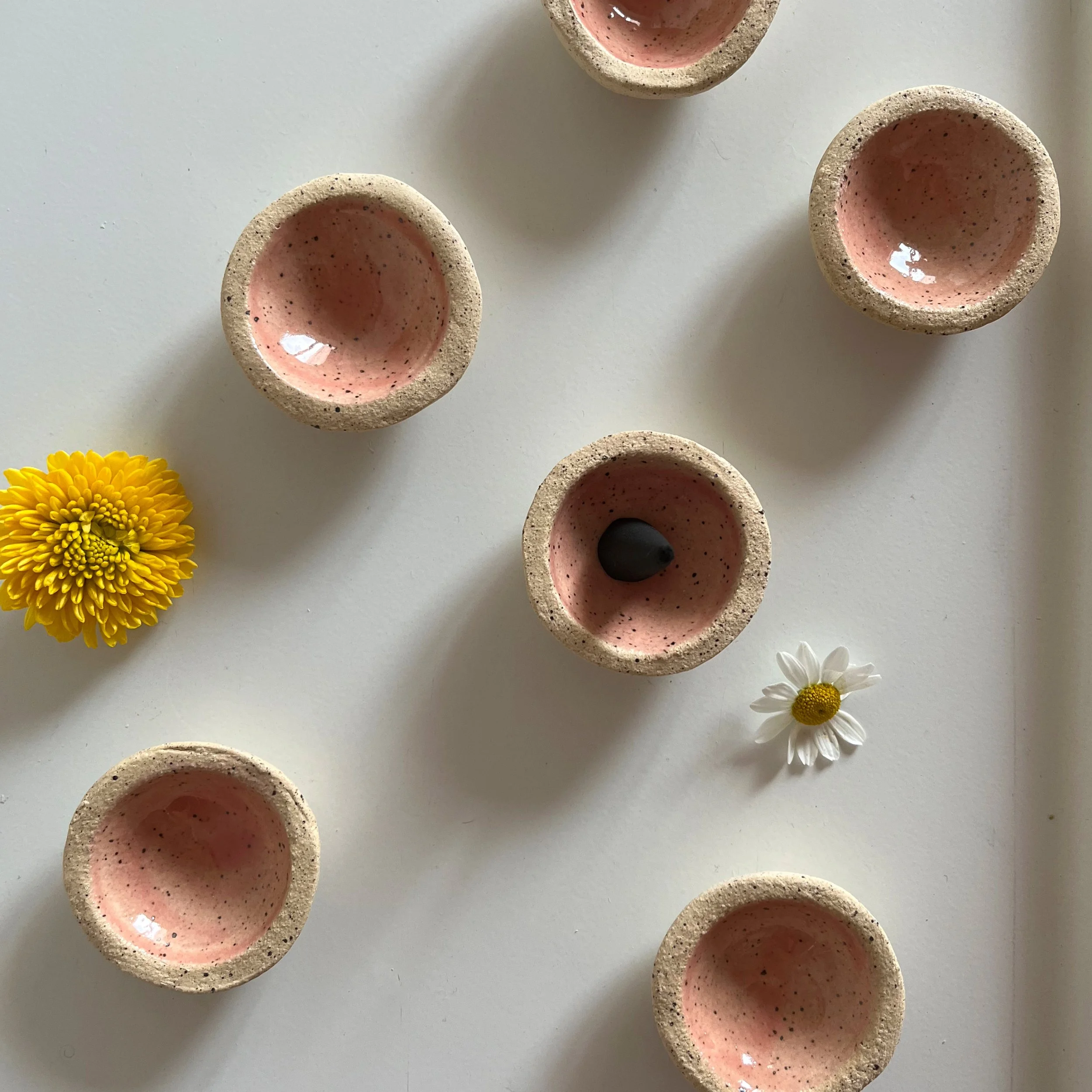 pink-cone-2.jpg