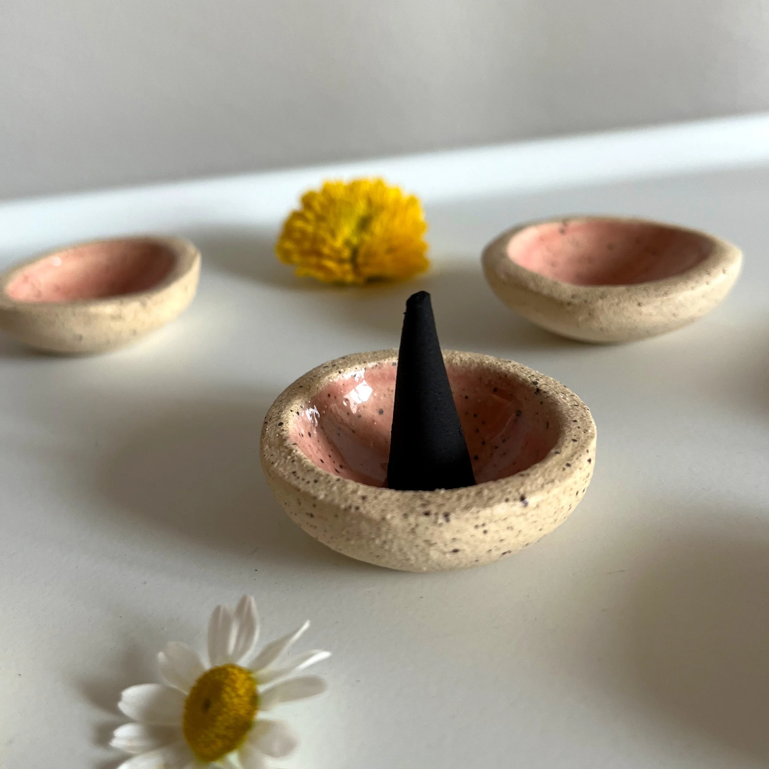pink-cone-1.jpg