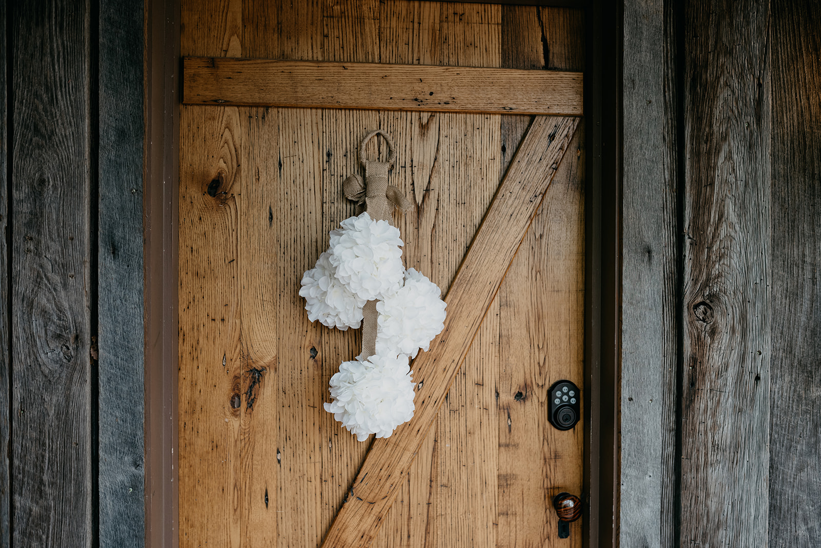 Asheville_Farm_Wedding__Adam_and_Leah_(34_of_878).jpg