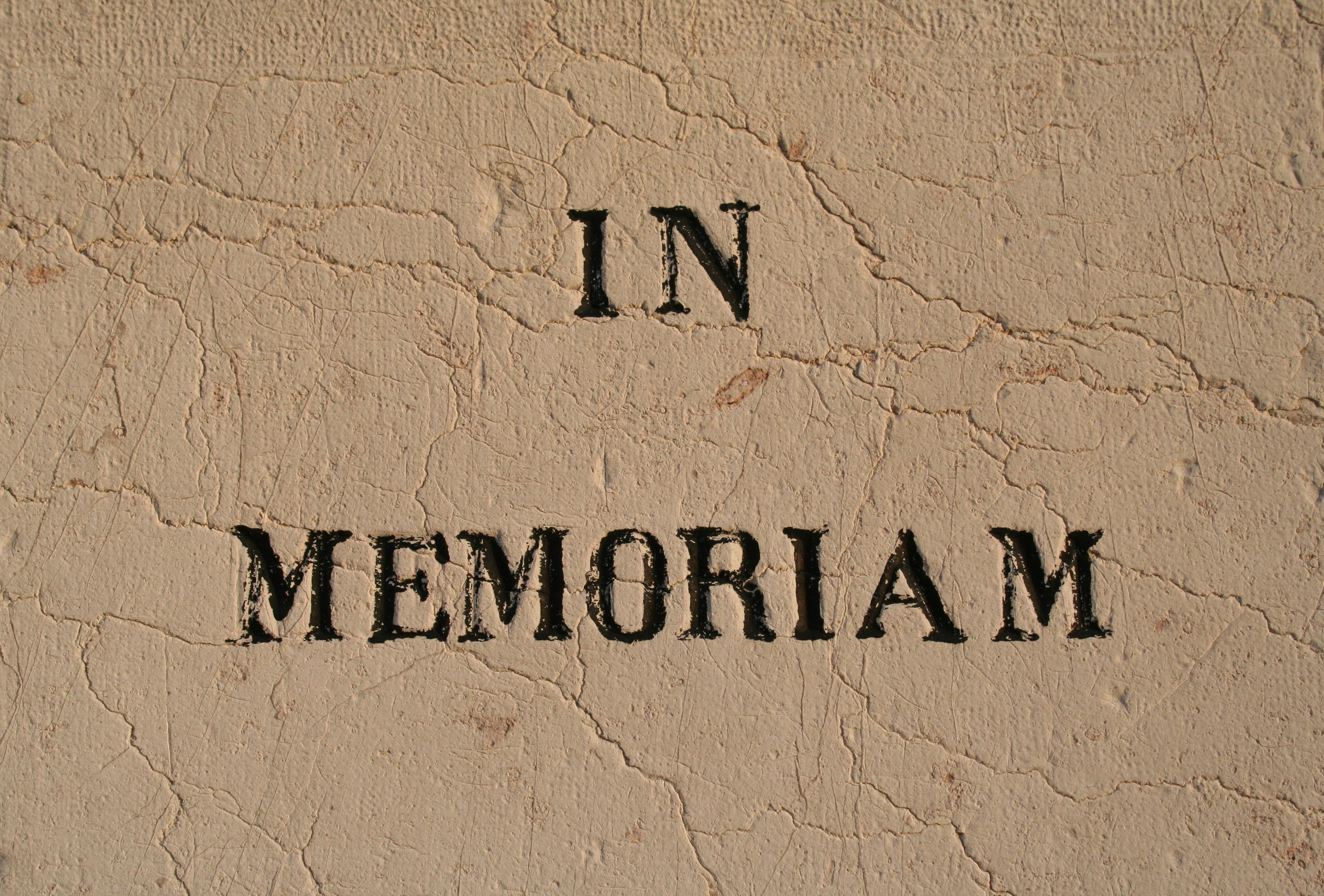 In Memoriam, 2013