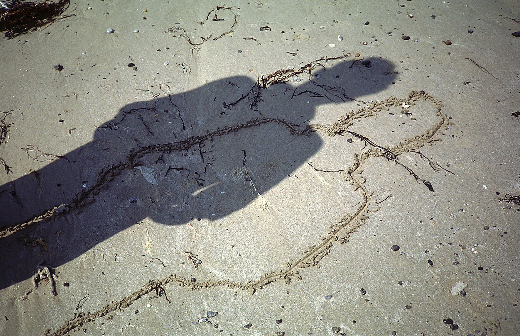 Drawings in the Sand, 1991