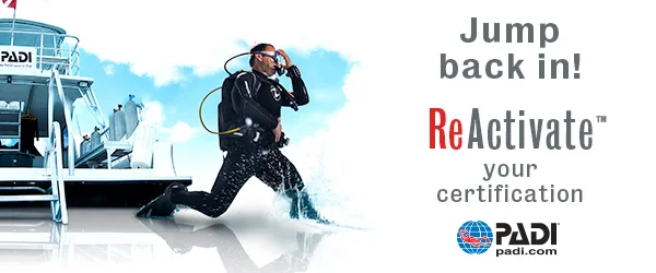 ReActivate_header_Stride_600x250.jpg