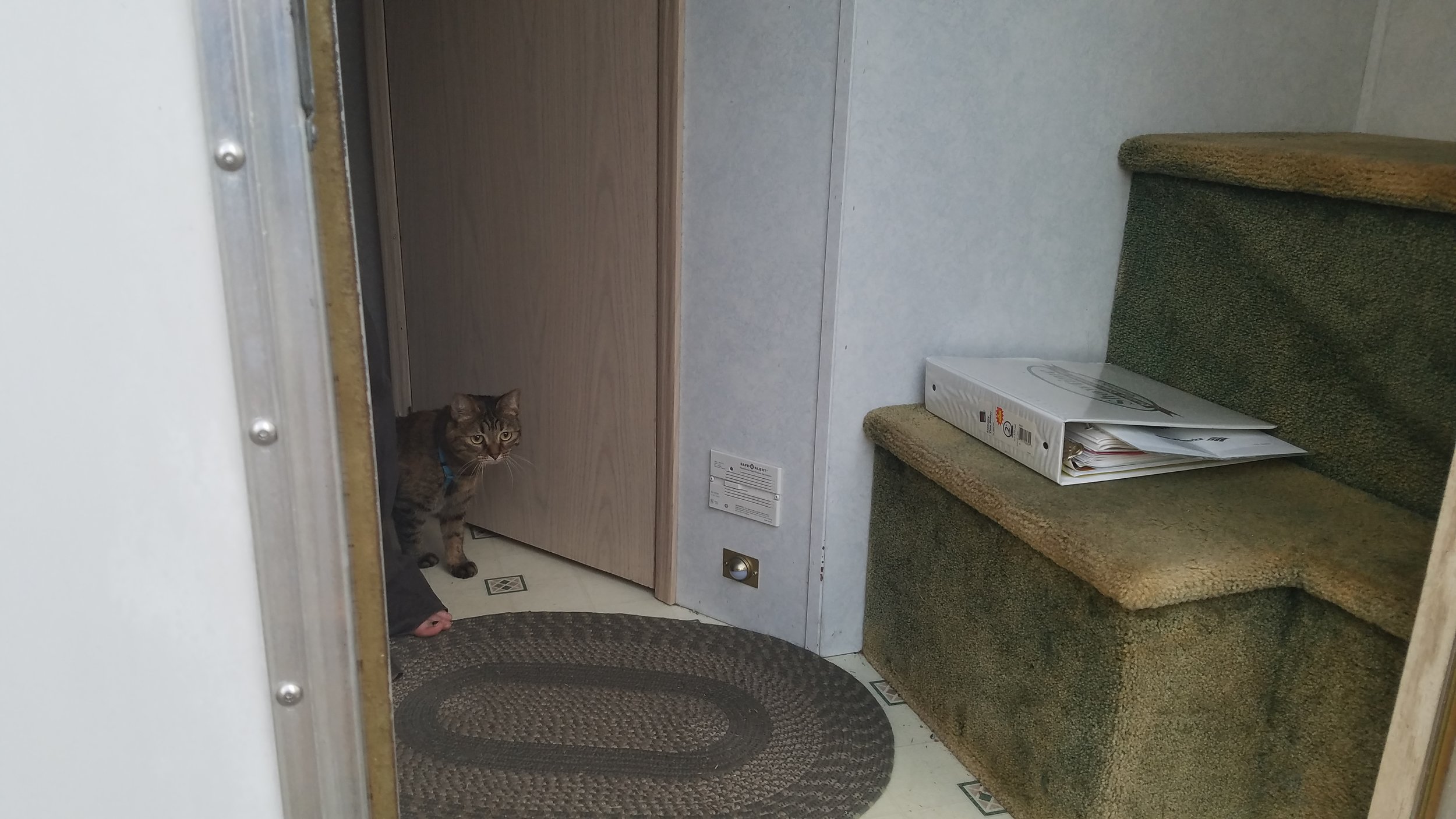 20170512_194102.jpg