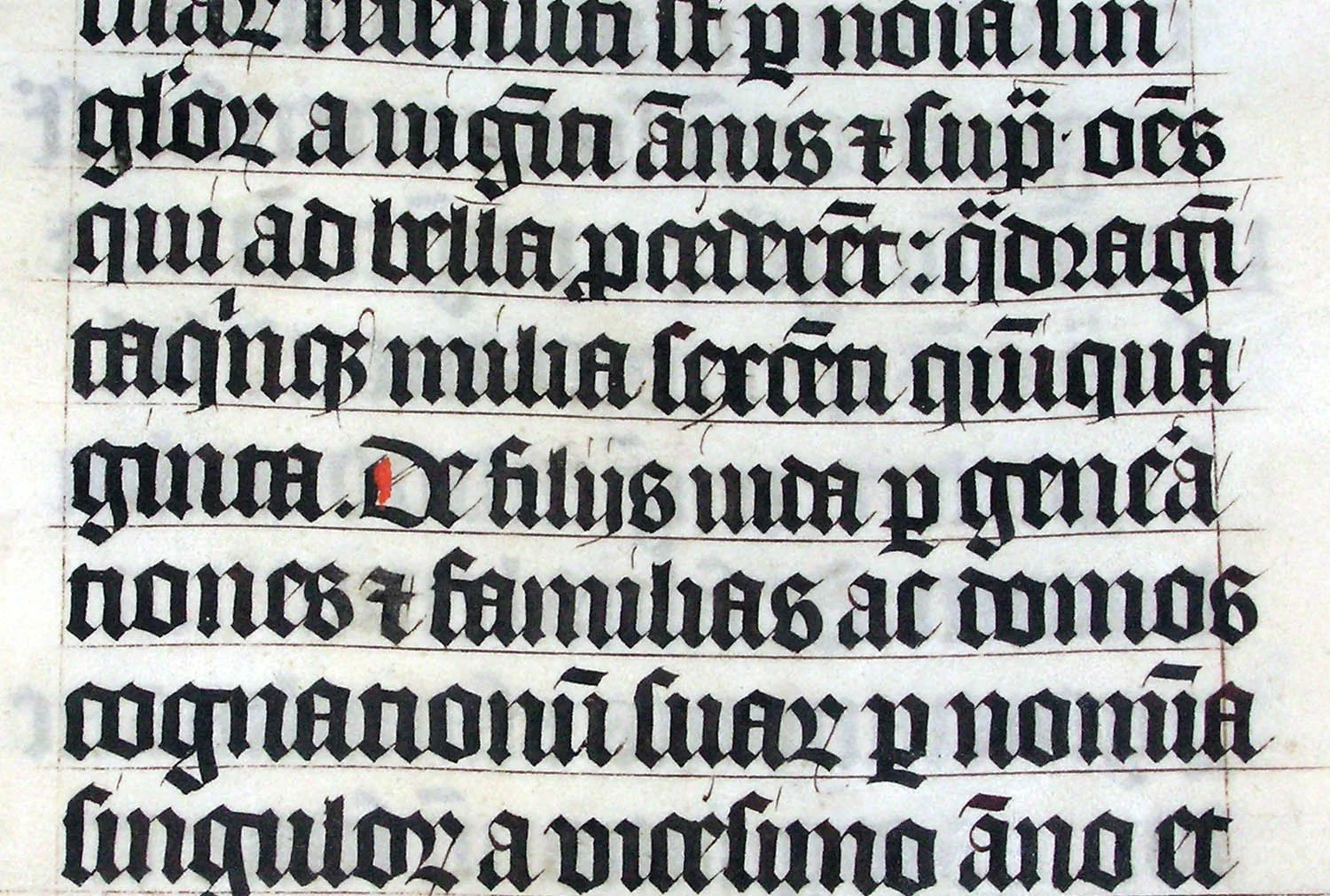 We're Curious About Fraktur